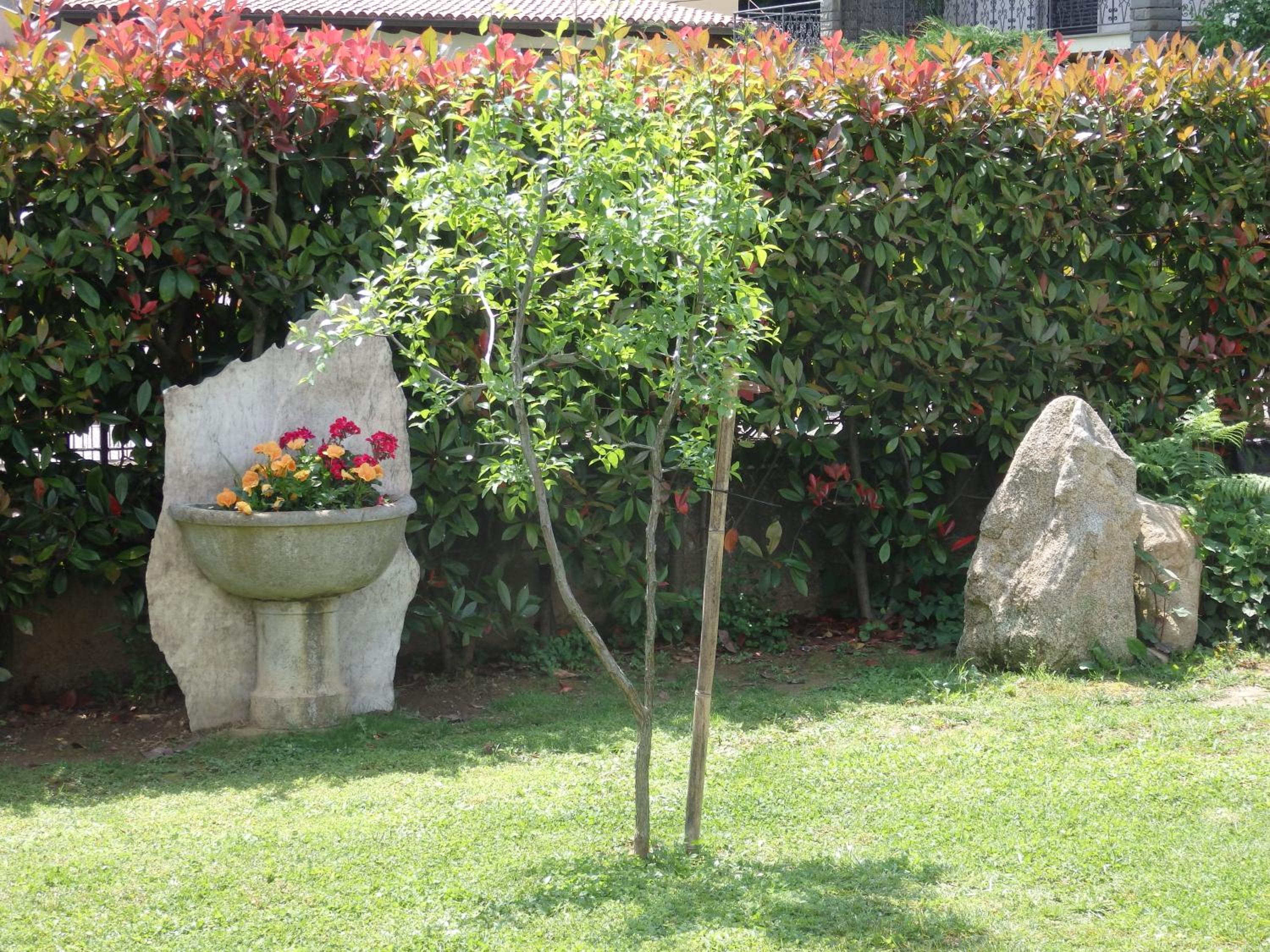 Riflessi d'Arte, photo 39