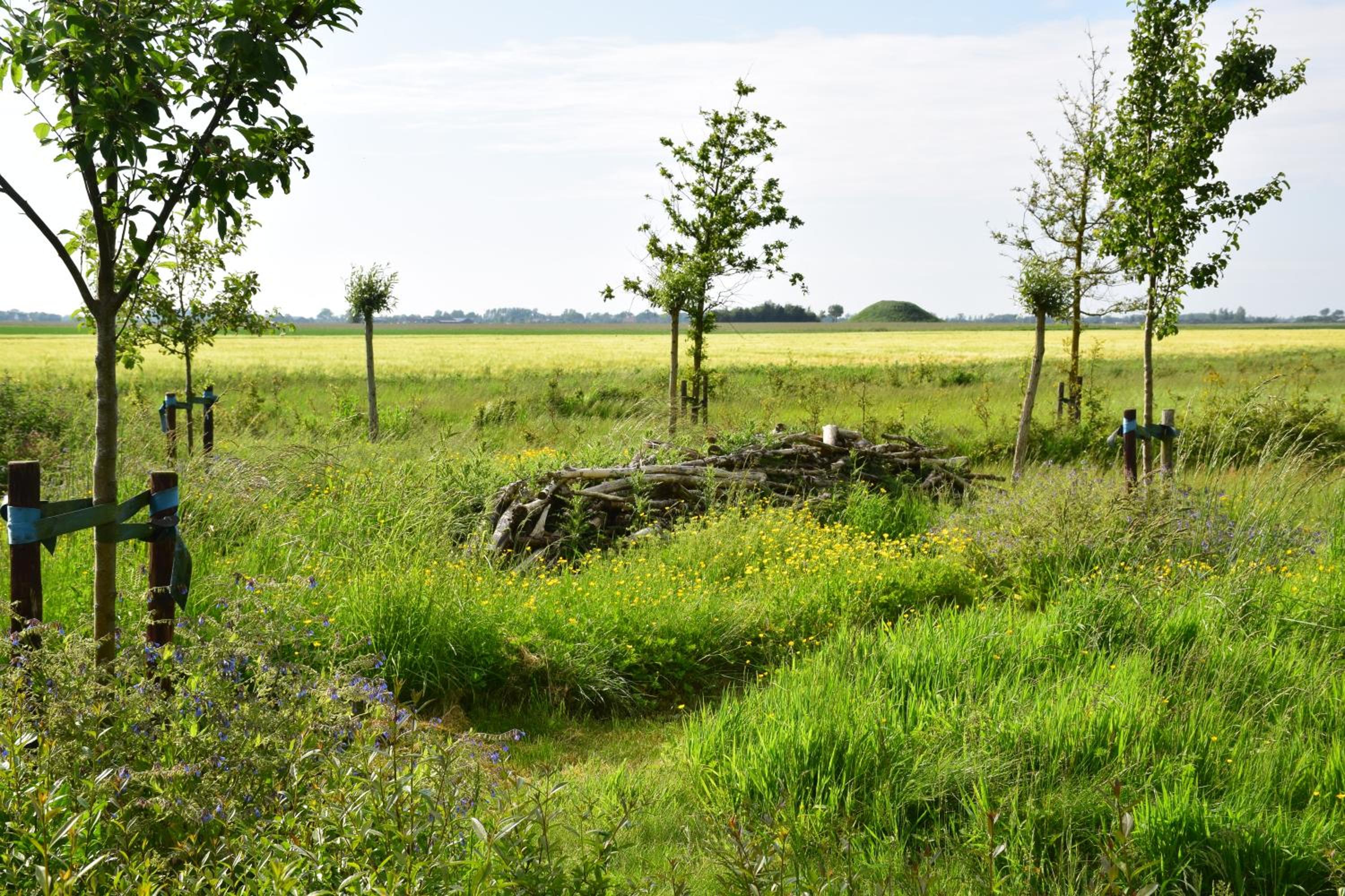 Photo 49