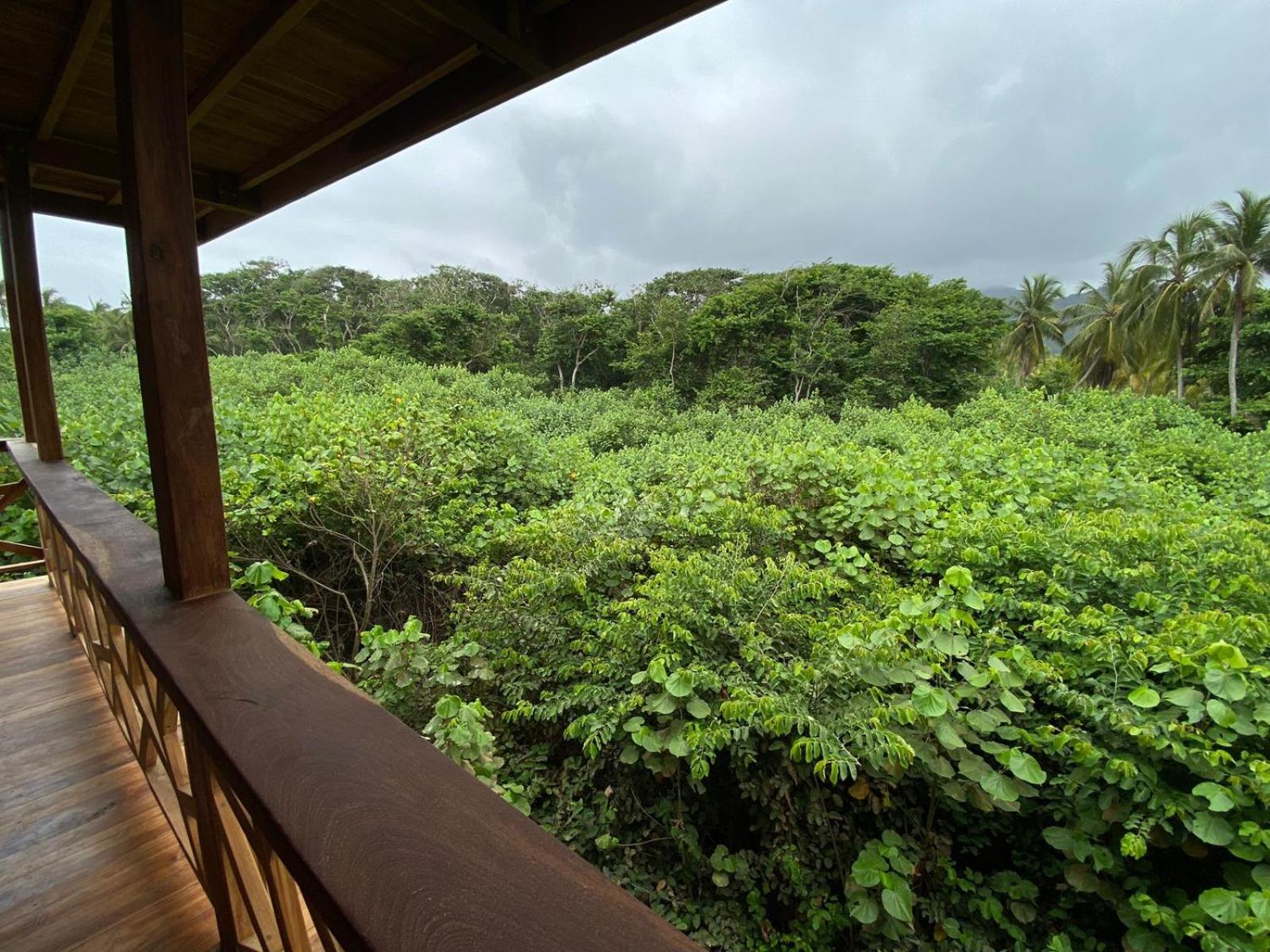 Yaku Hostel