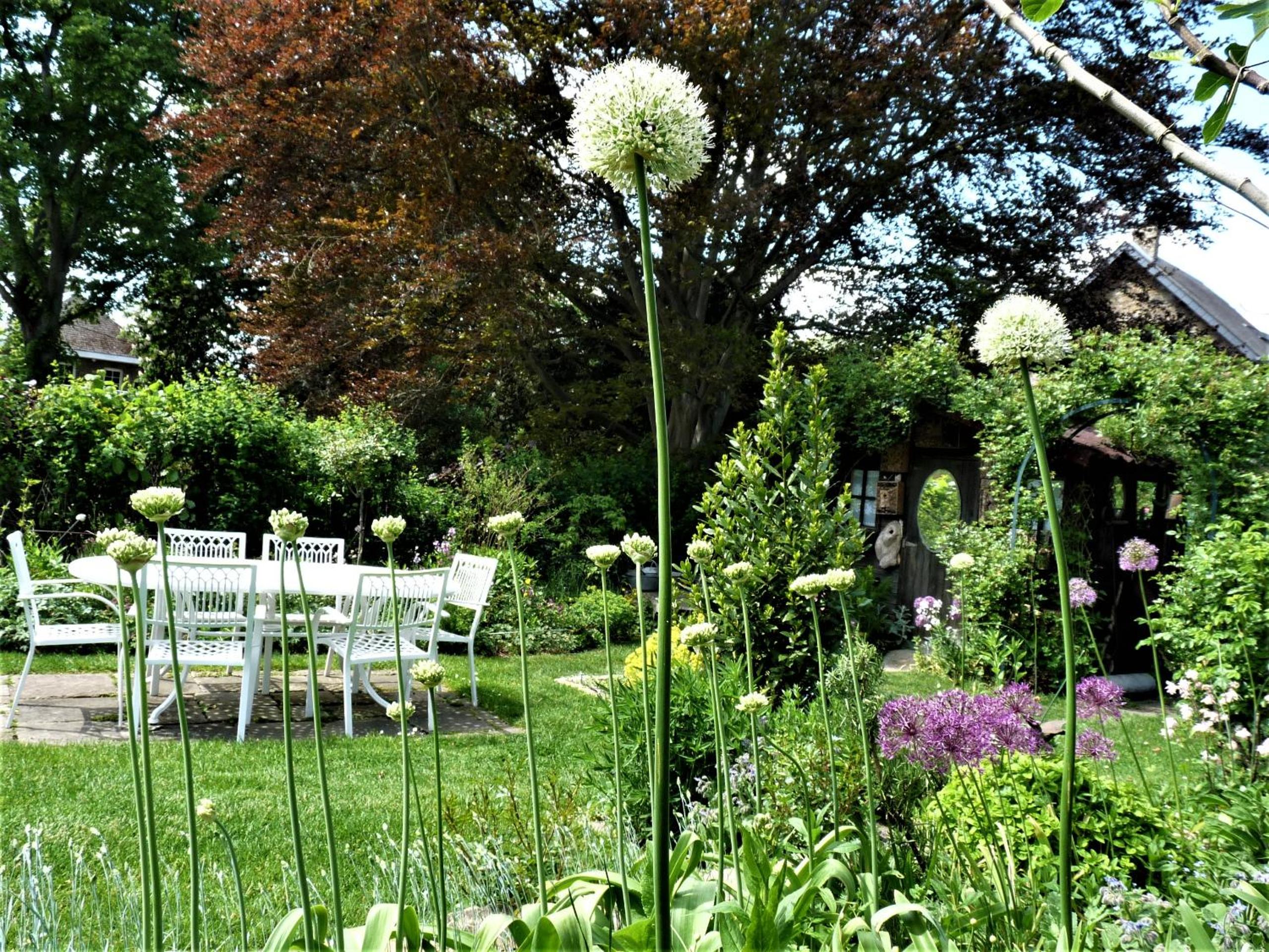 Le Jardin des Miroirs