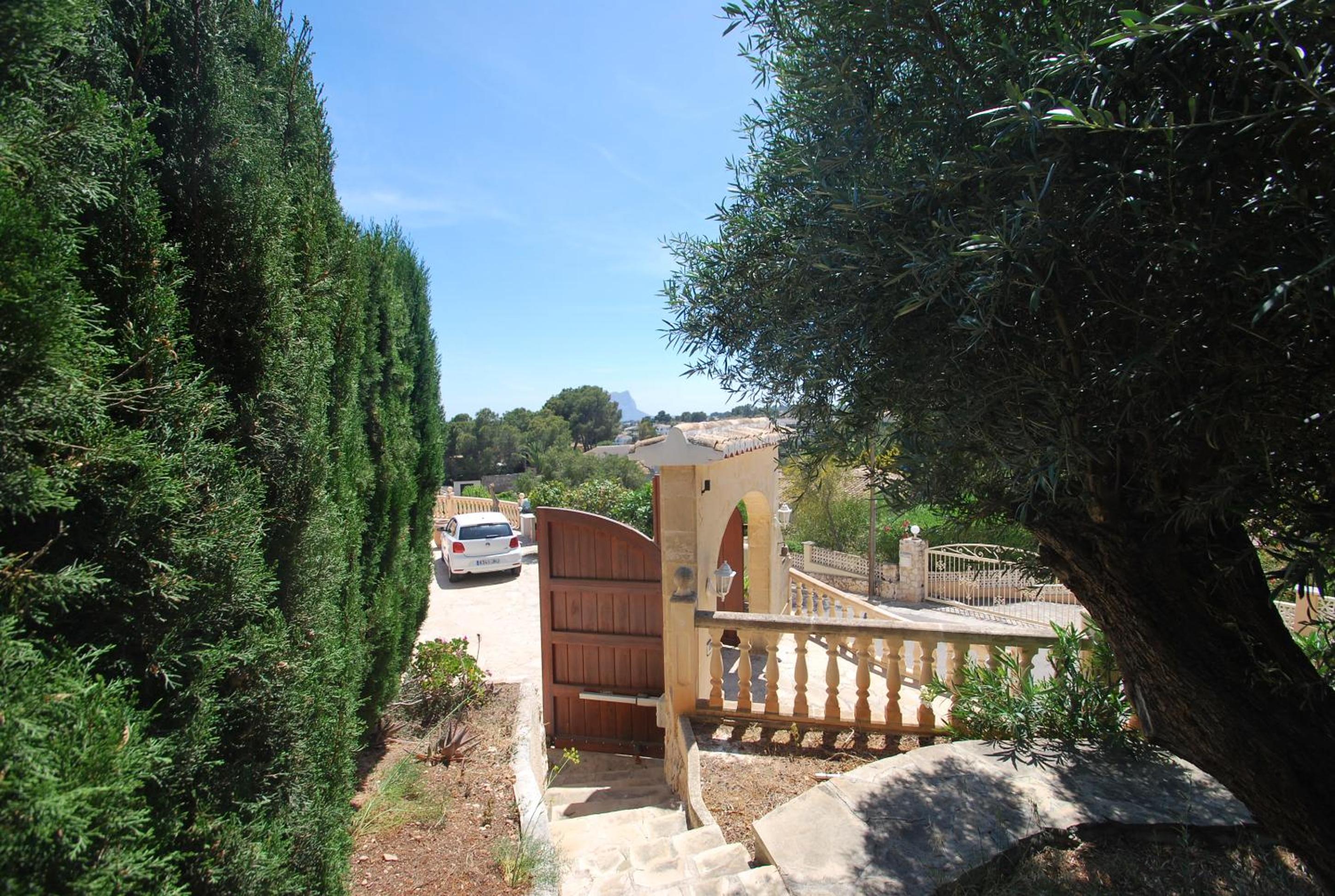 Photo 7