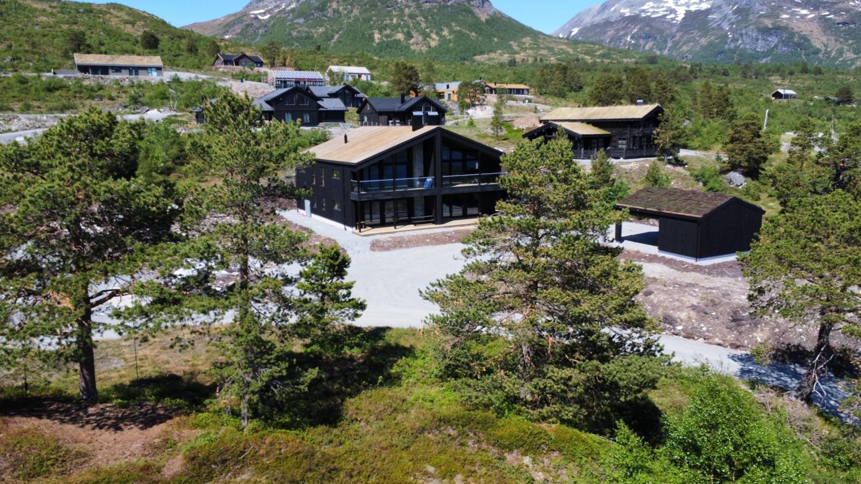 Ladebua