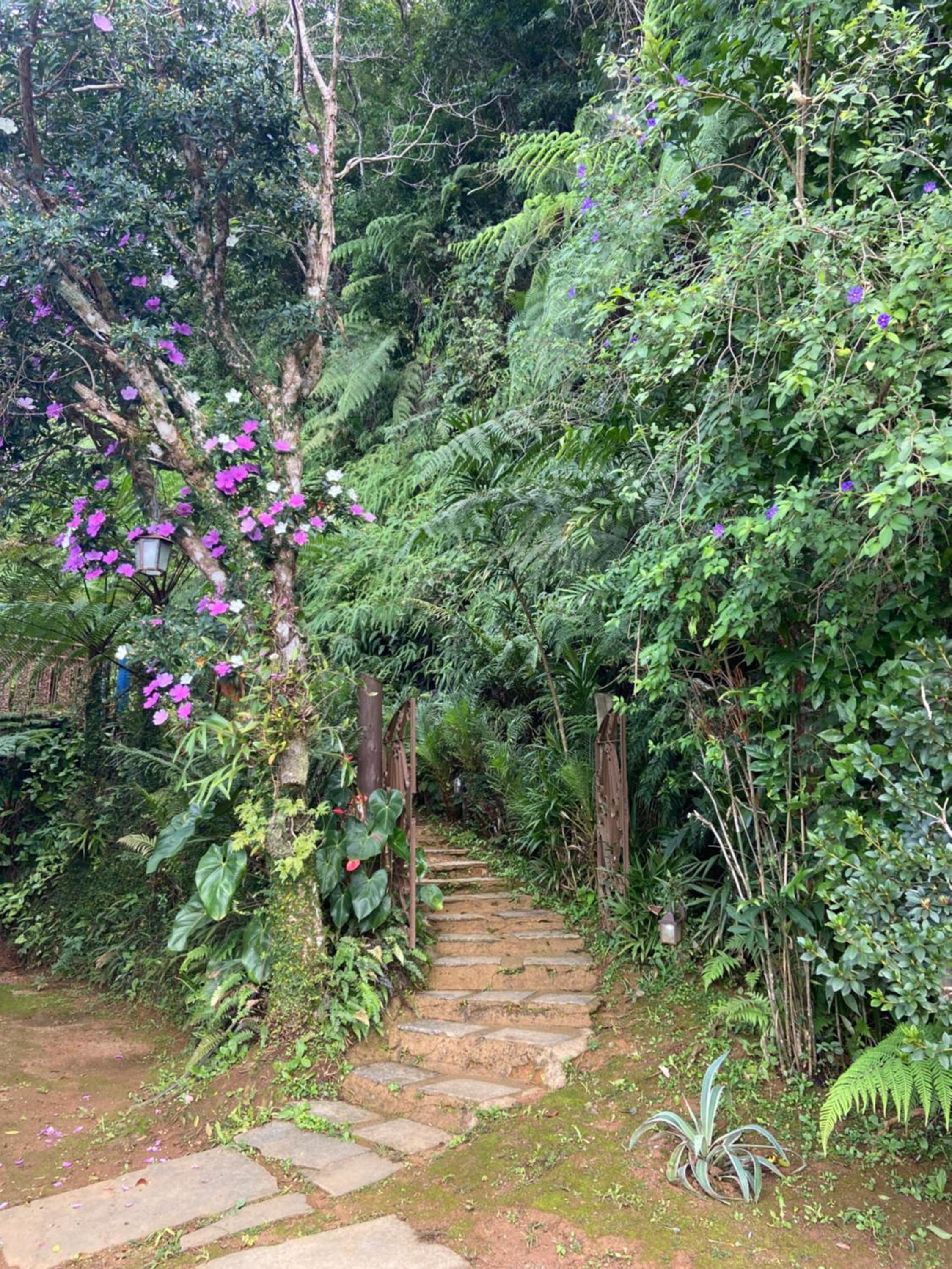 Chapéu das Montanhas