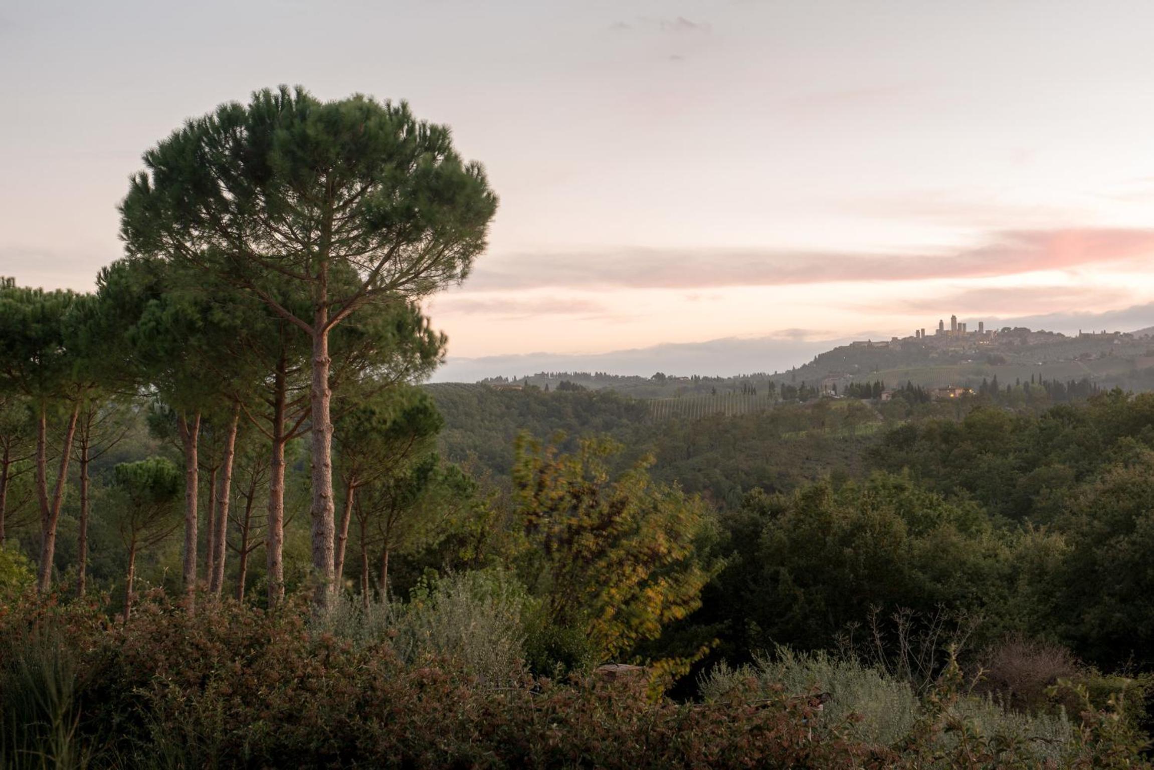 Il Coltro