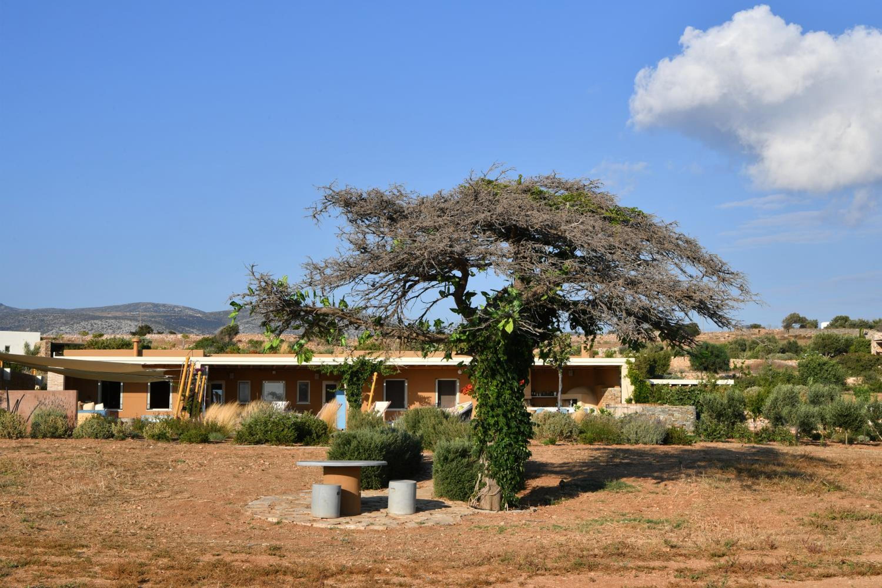 Villa Aristea