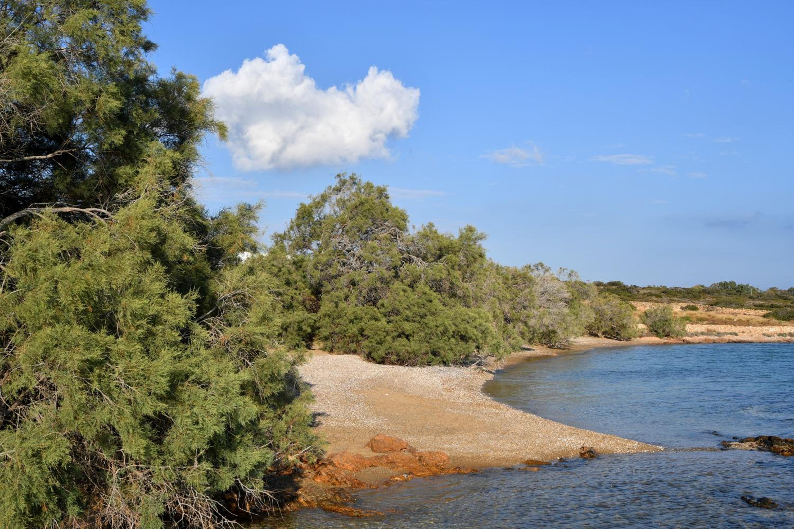 Villa Aristea