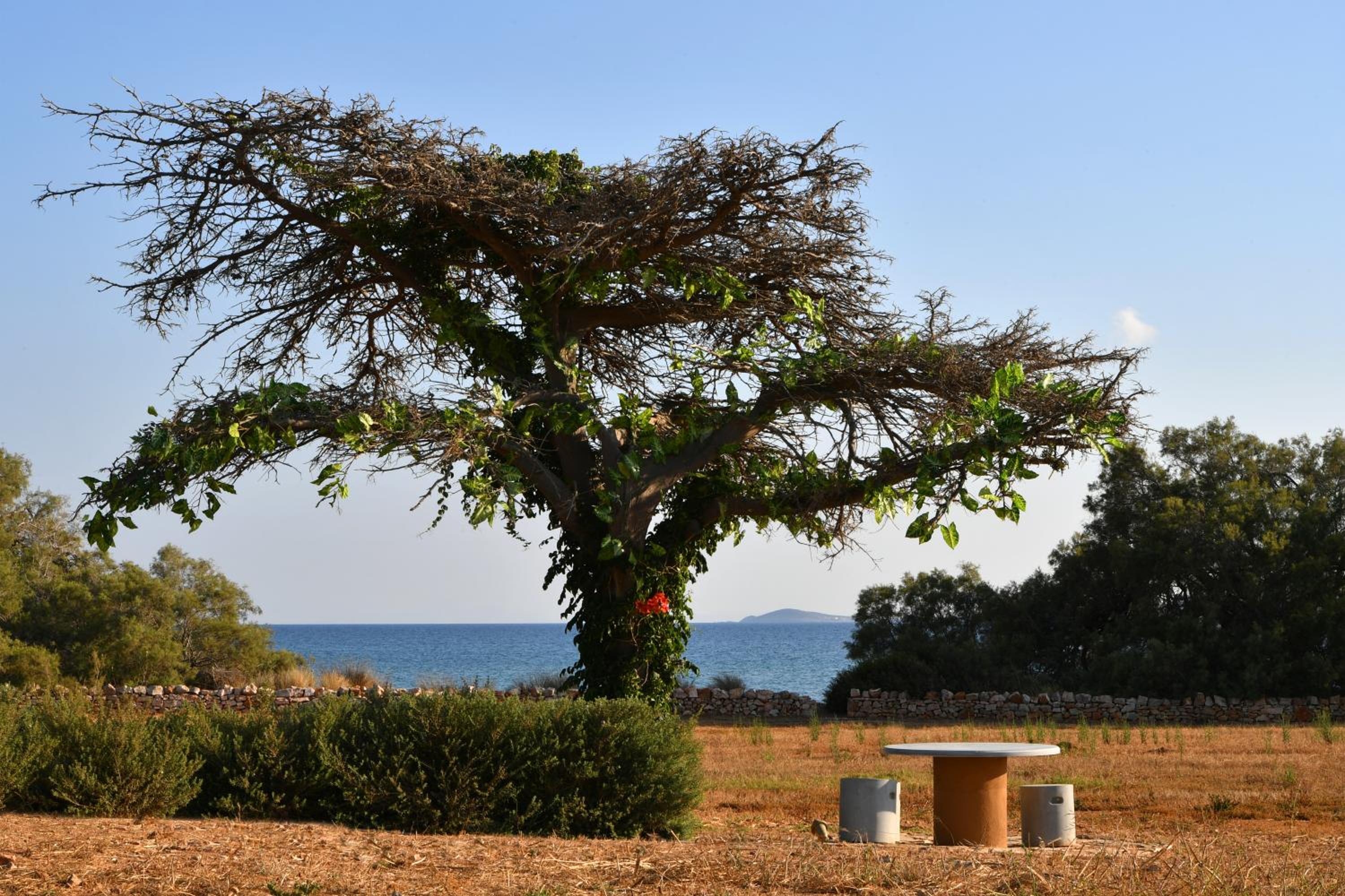Villa Aristea