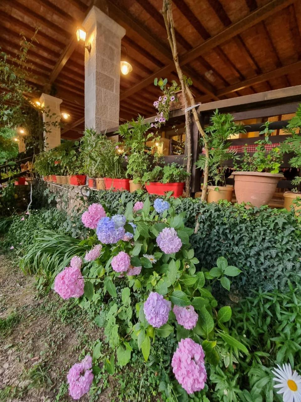 Guesthouse Alberti Llogara
