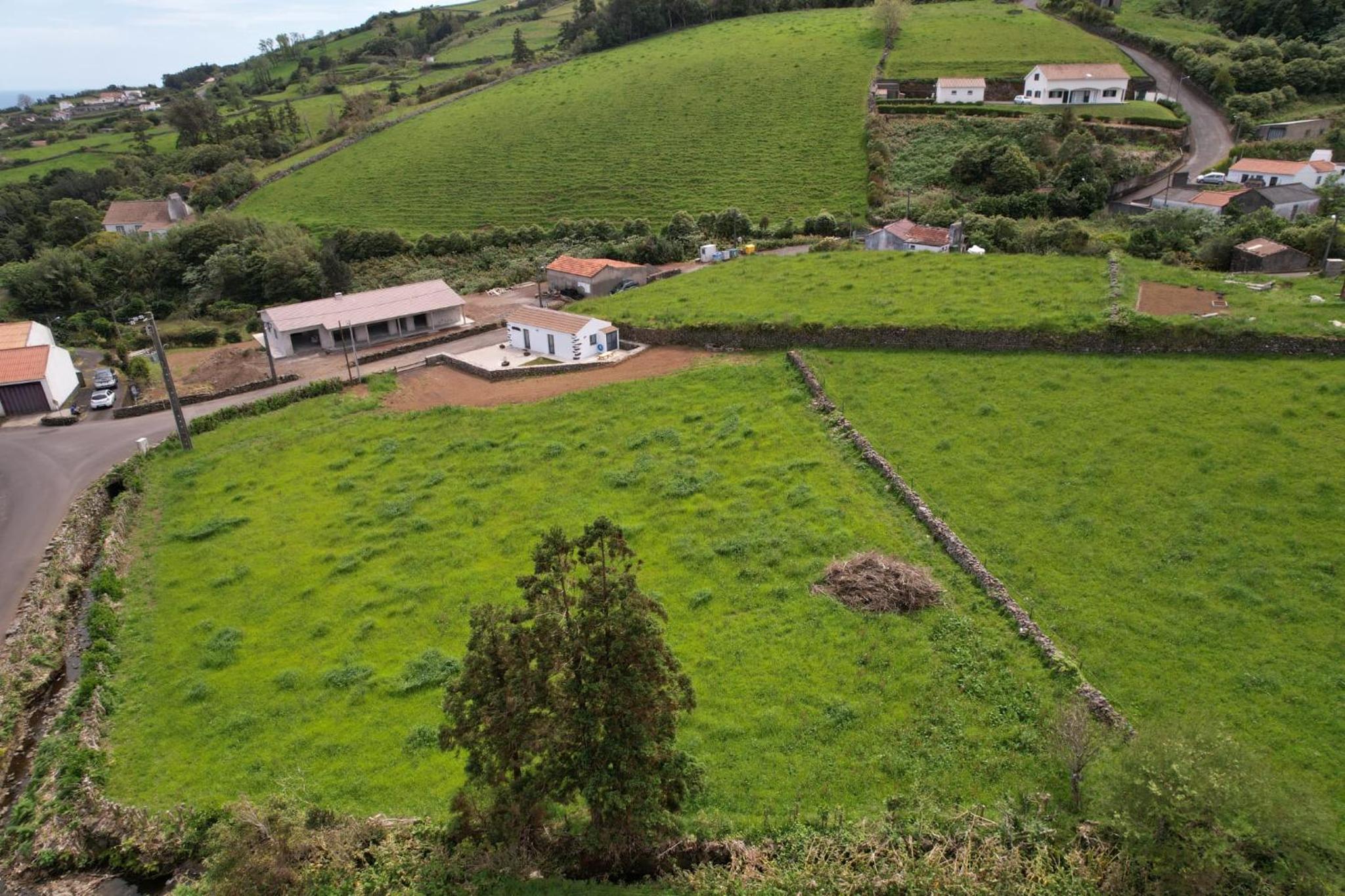Casa do Avô José Mota view 4