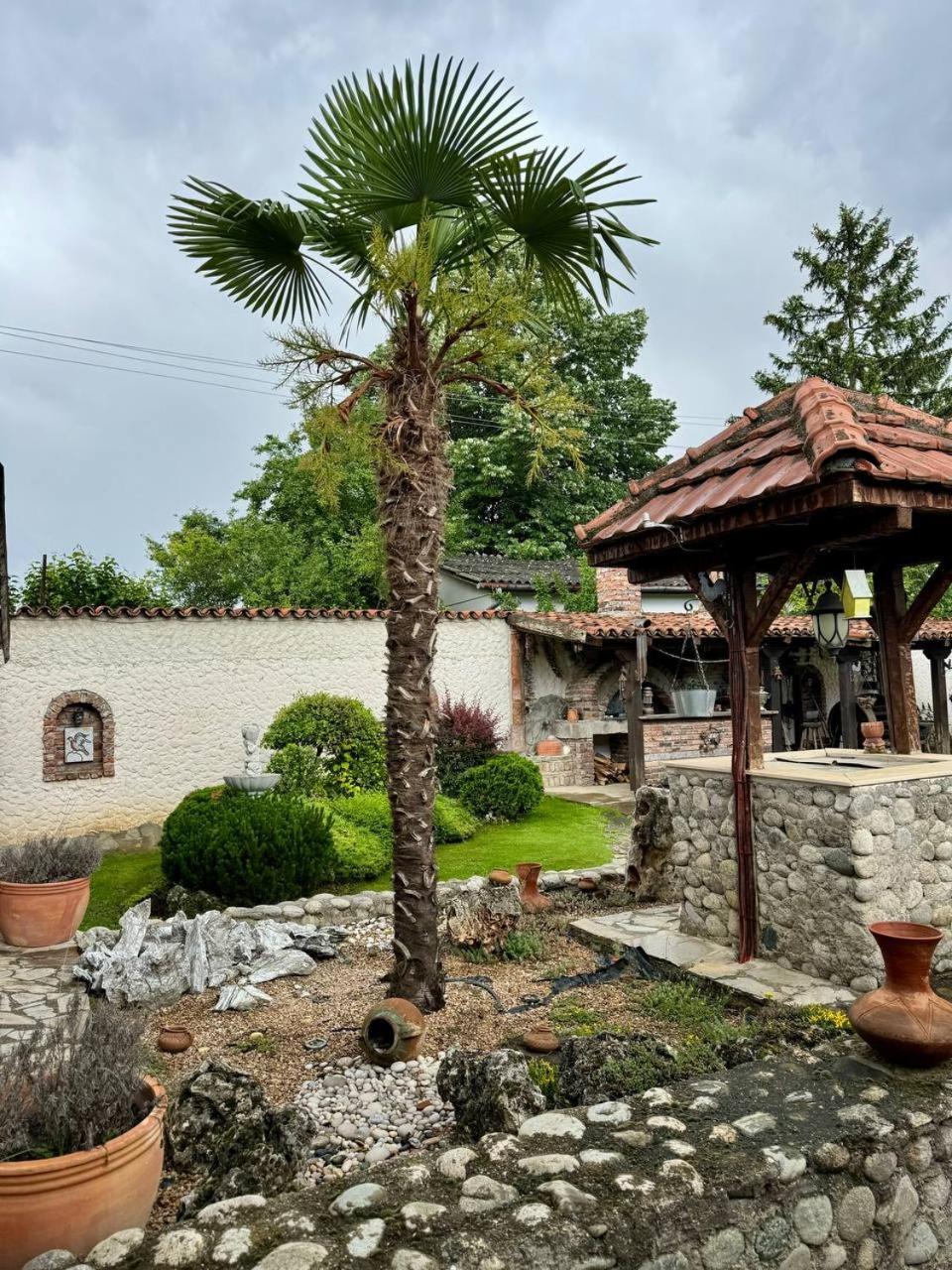 orman villa view 3