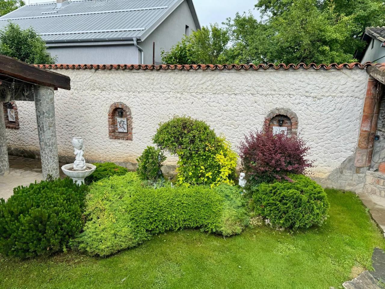 Photo 15