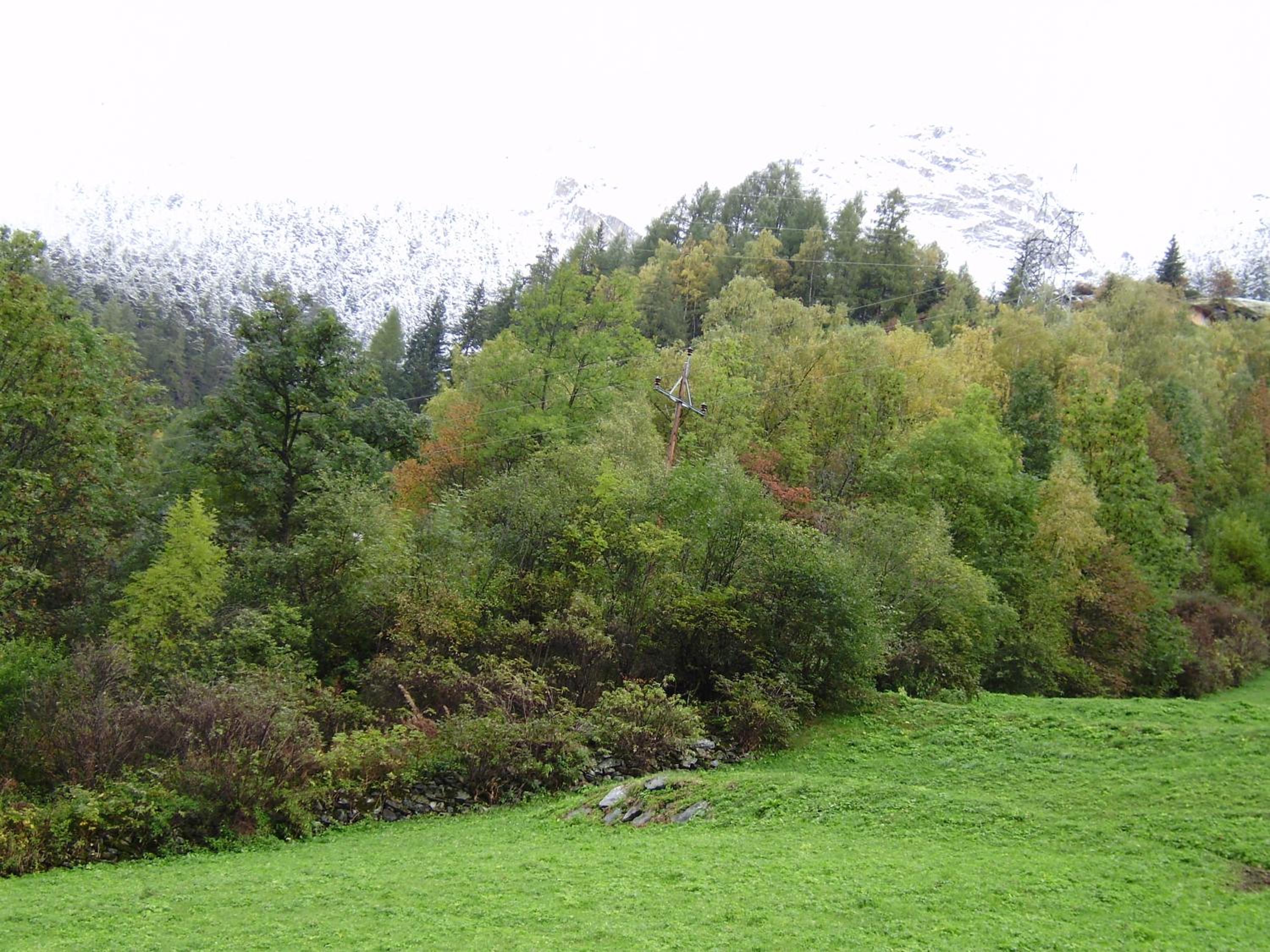 Haus Alpenglühn