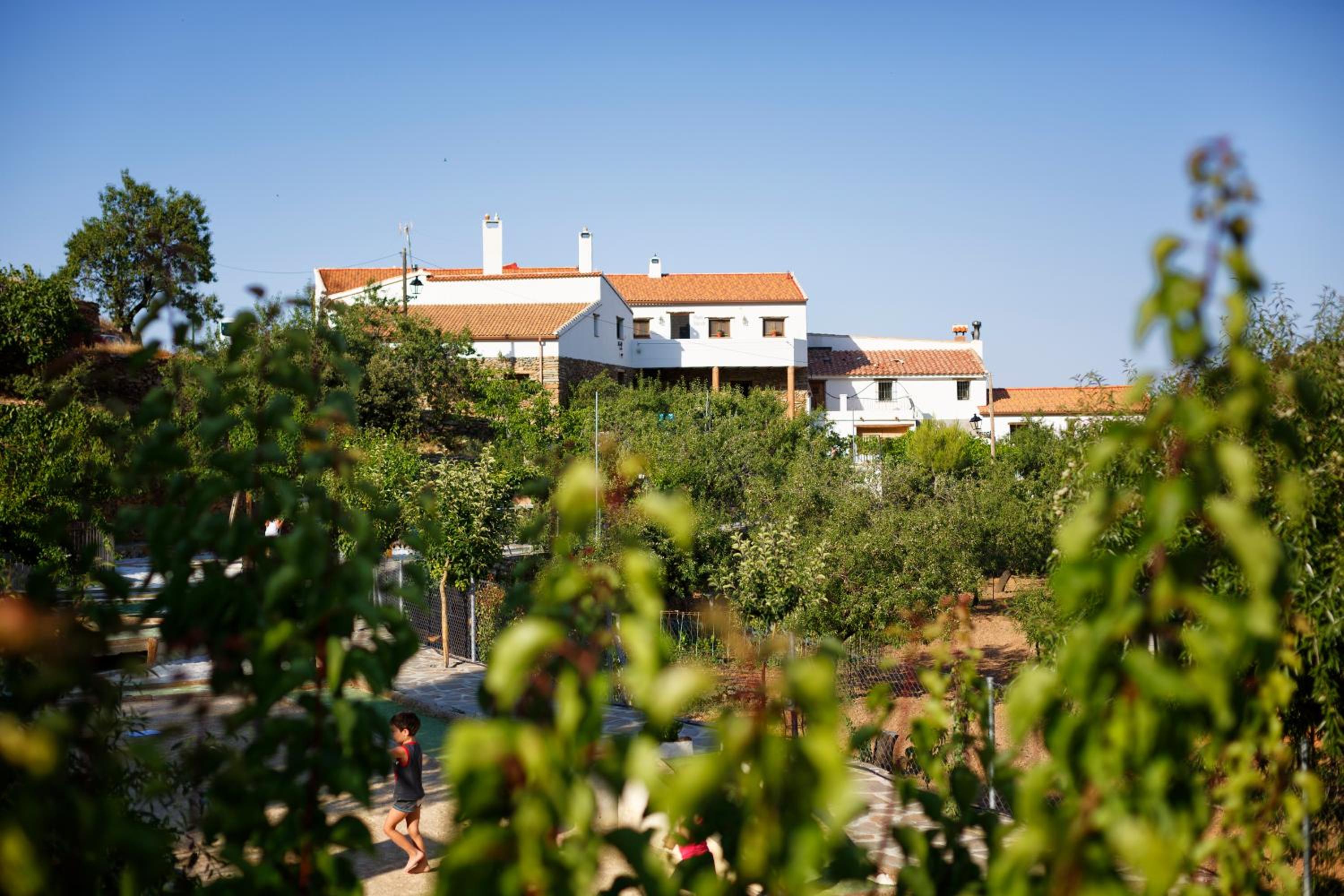 farmhouse la Curiosa