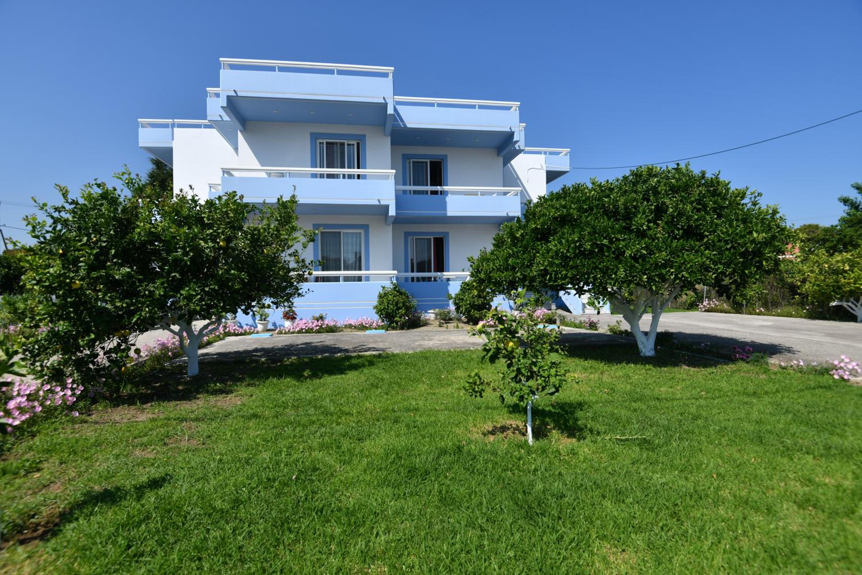 Photo 6