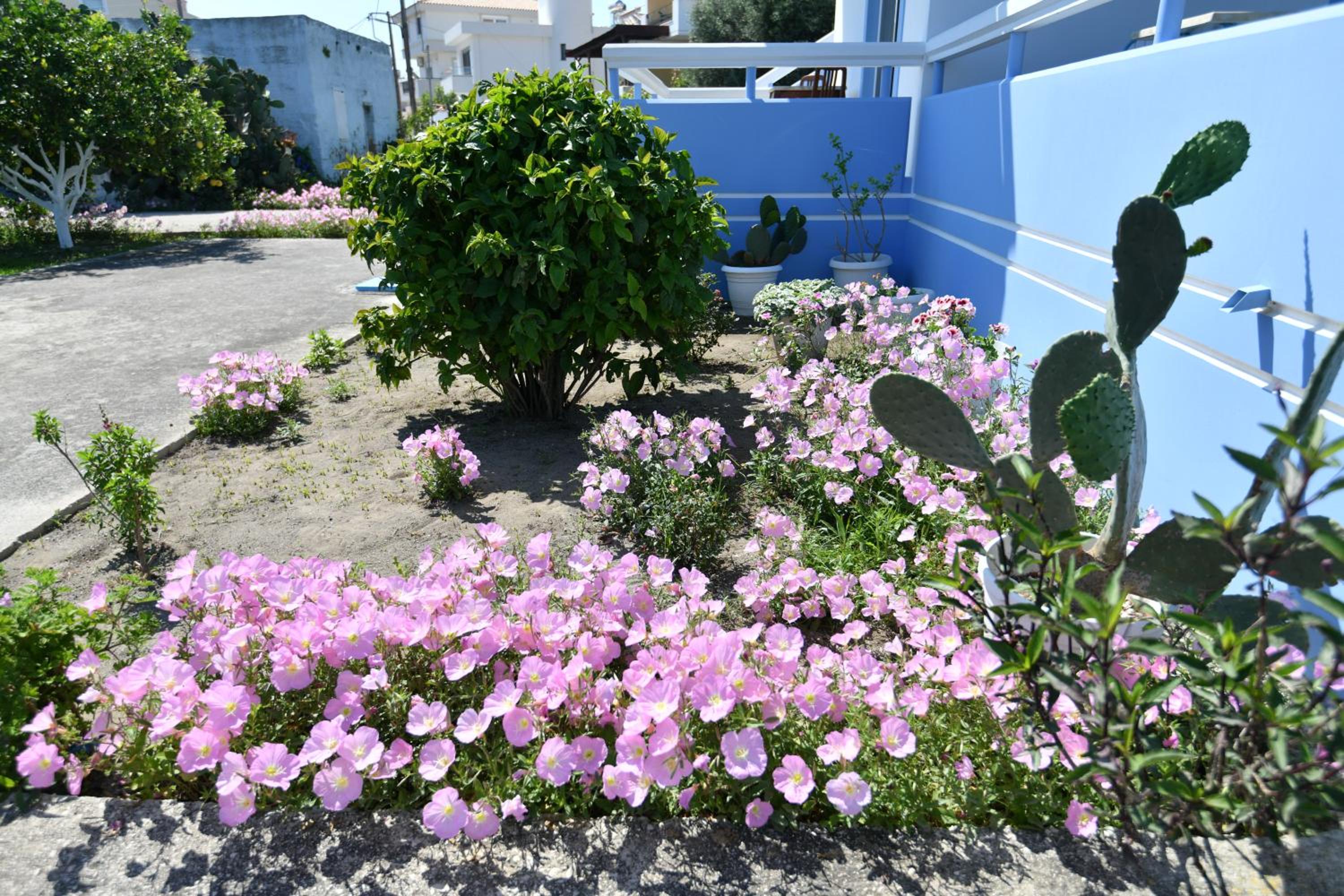 Blue Serenity Apartment 5 view 5