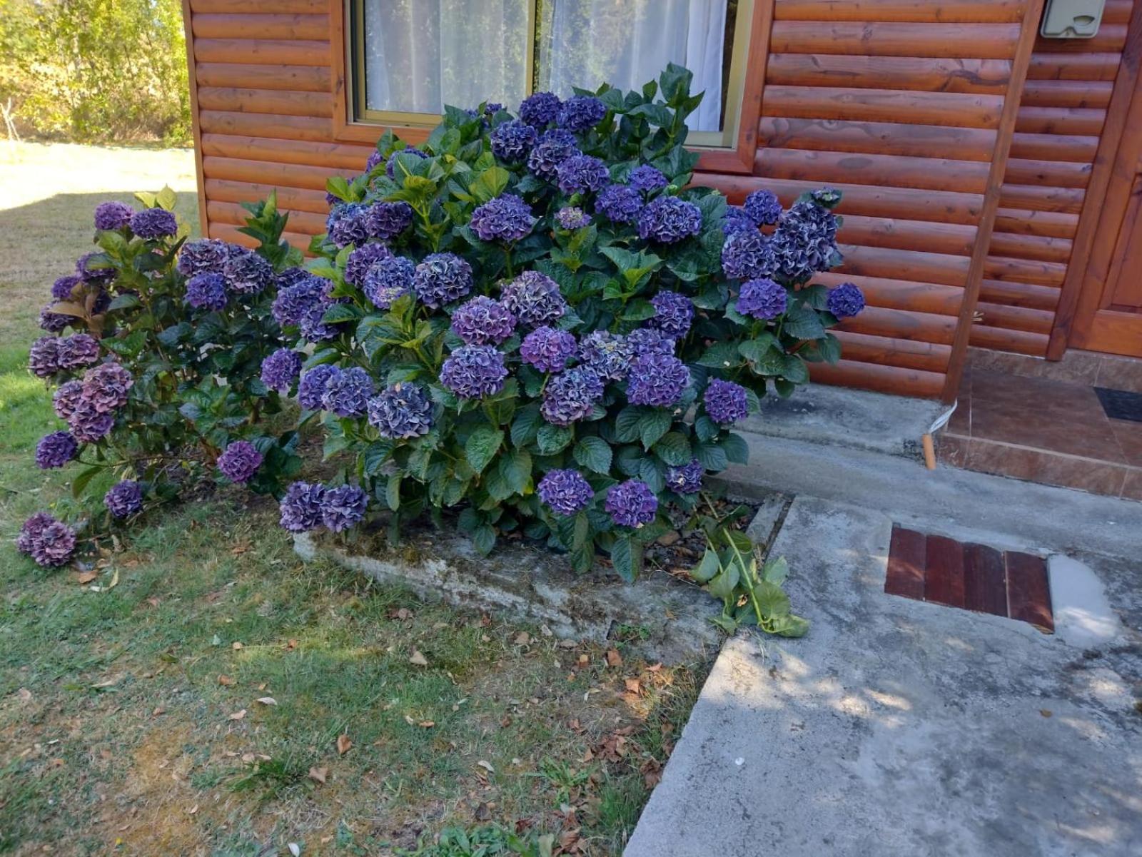 Cabanas Rimari