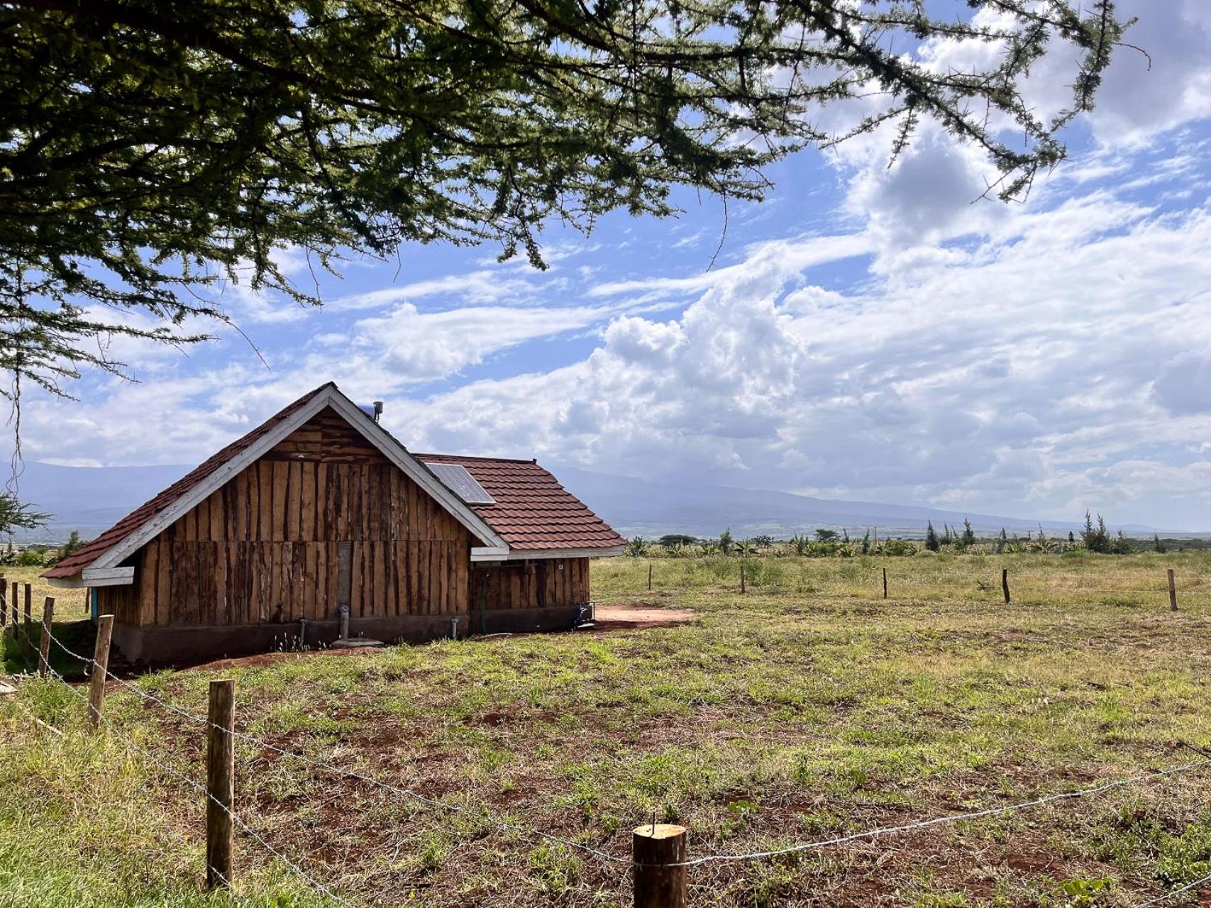 Amboseli Glass Cabin