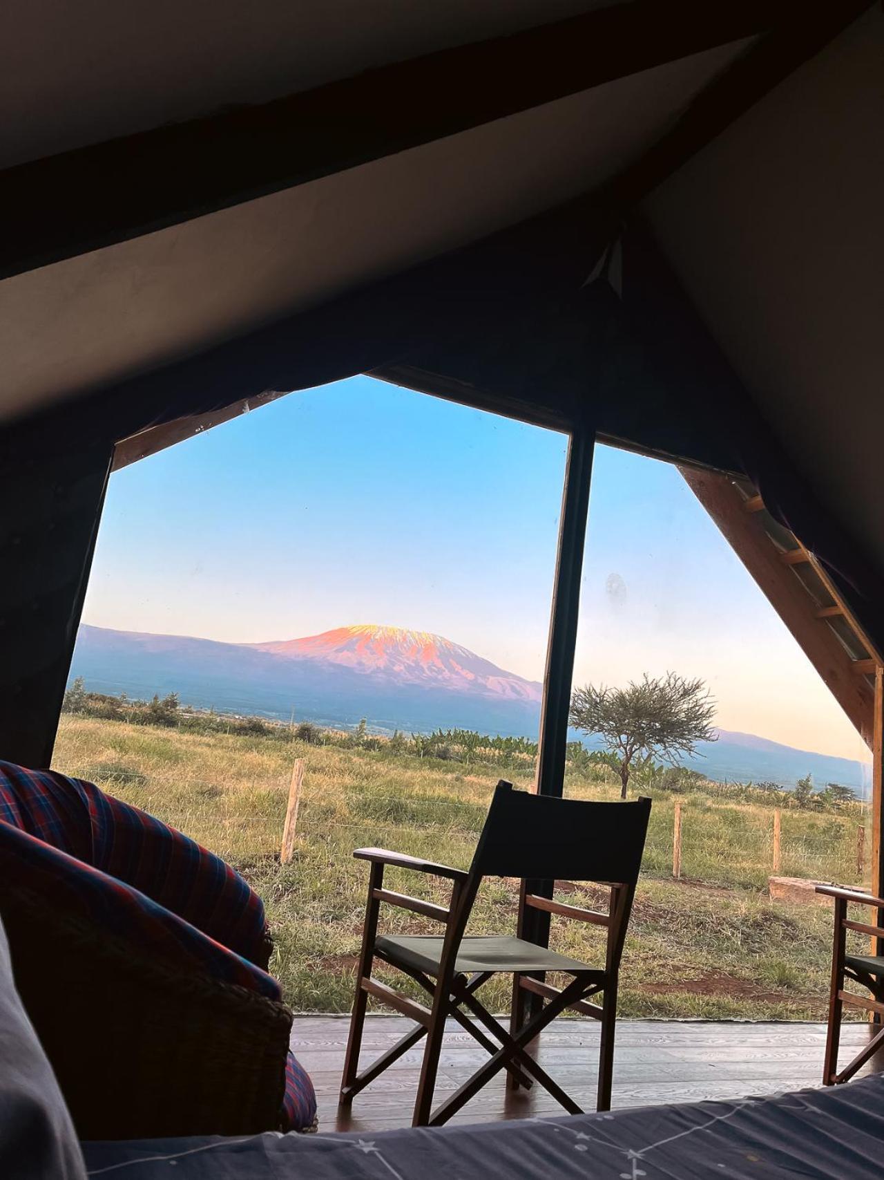 Amboseli Glass Cabin