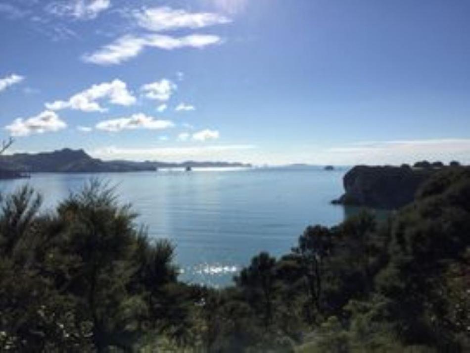 Hosts on the Coast - Flaxmill Bay Motel Unit 1 view 5