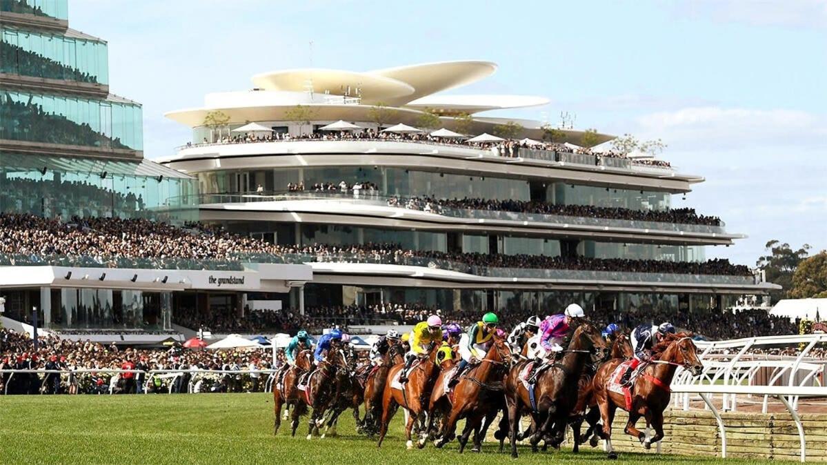 VAQUAY Contempo In Flemington