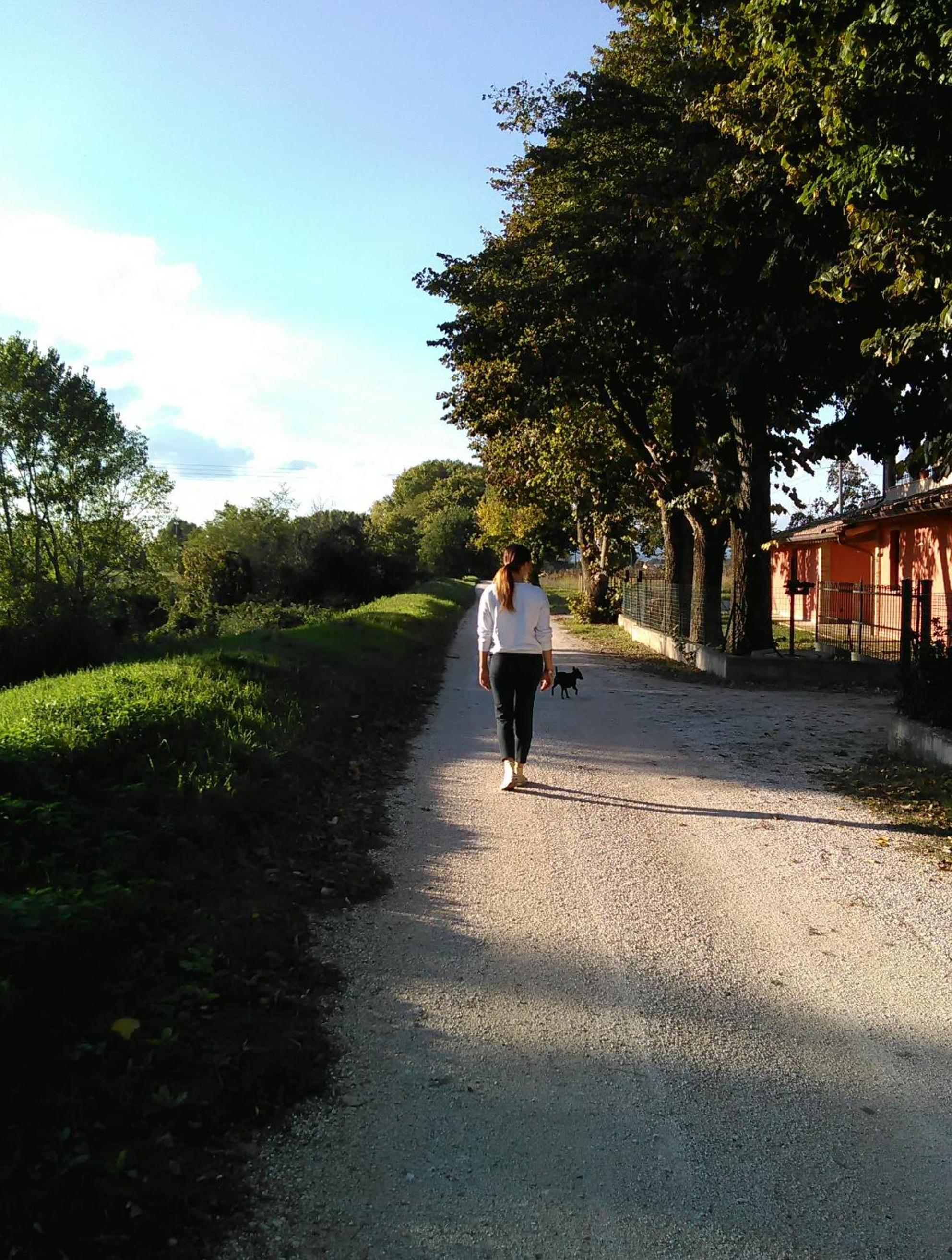 Photo 54