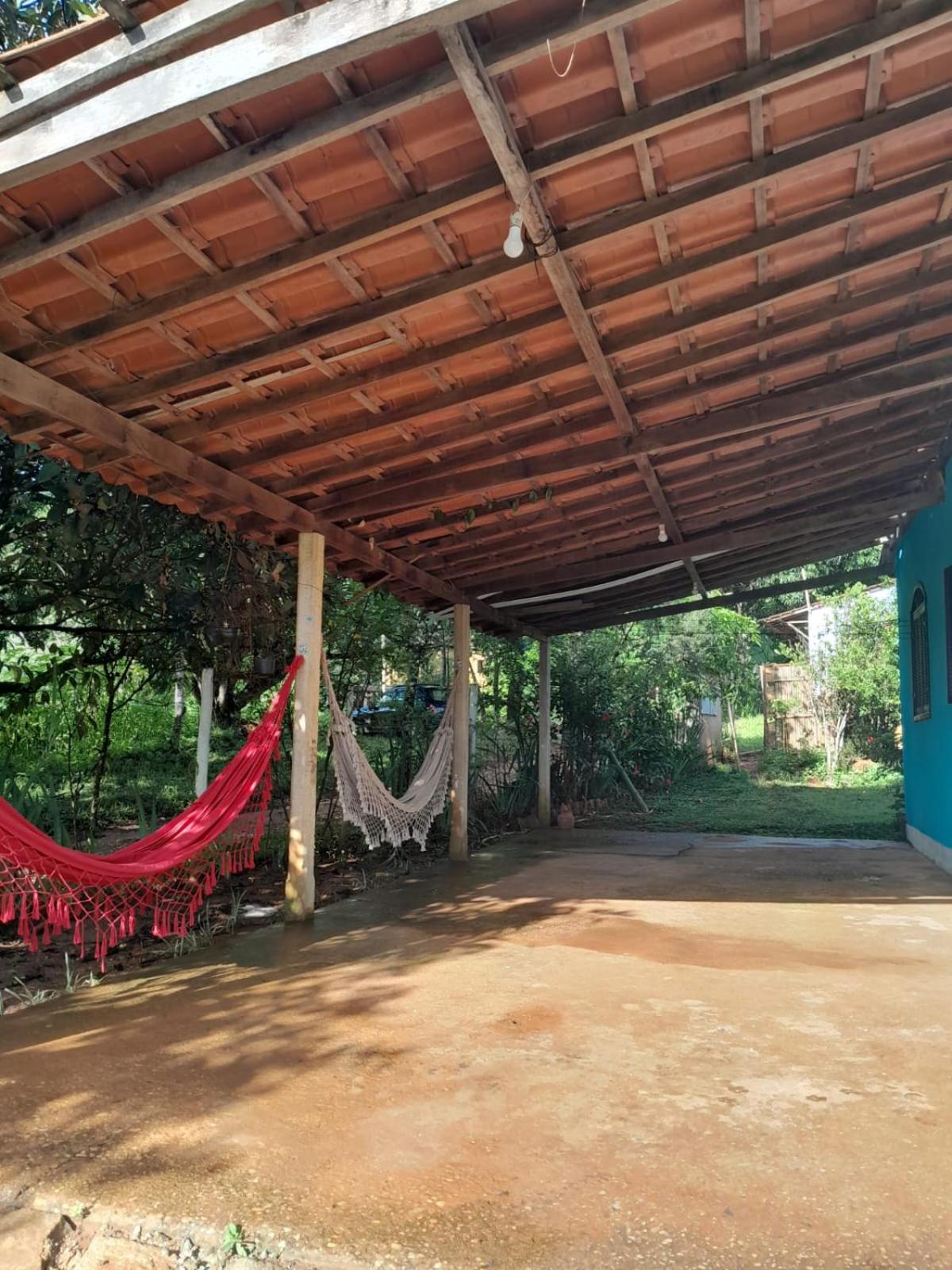 Encanto das Borboletas