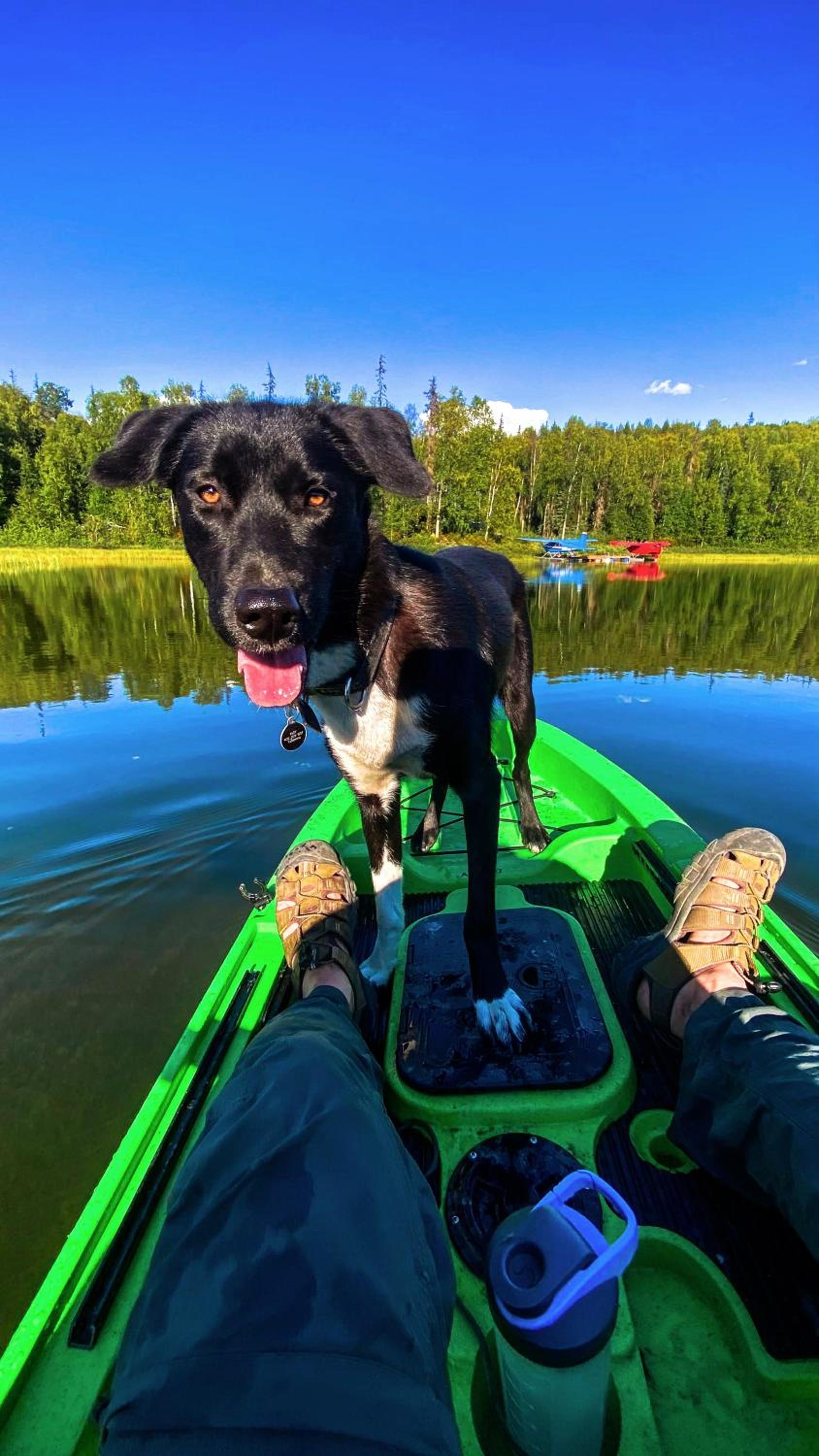 Talkeetna Aerie Adventure Lodge