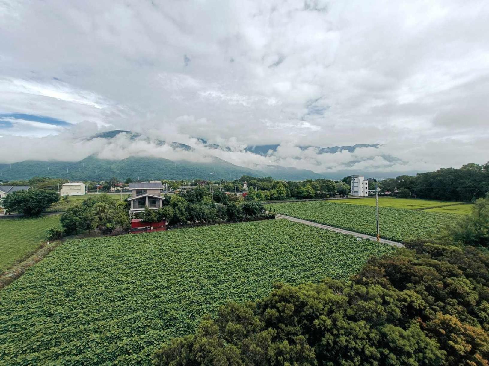 Zai Yan Yan 259 B&B
