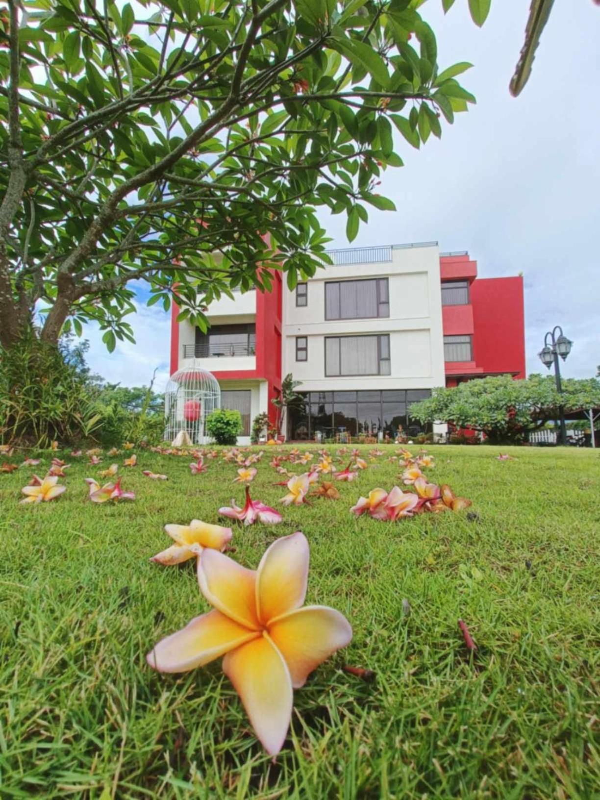 Zai Yan Yan 259 B&B