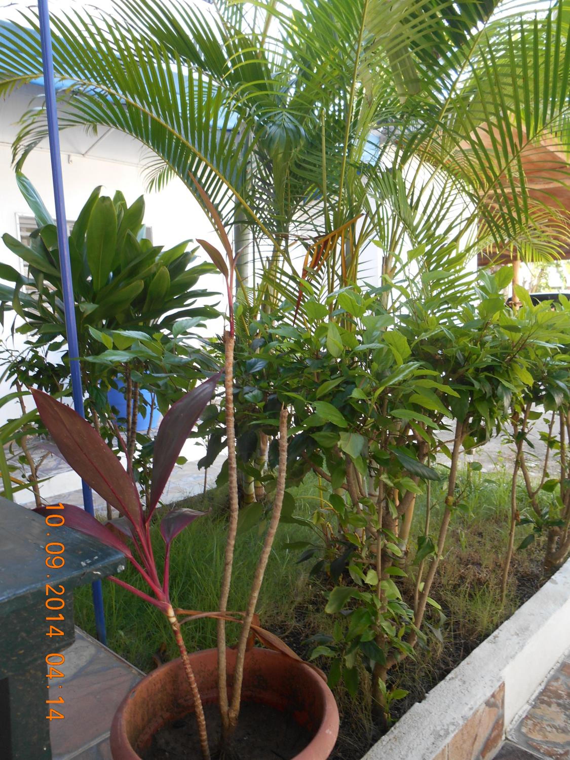 Photo 11