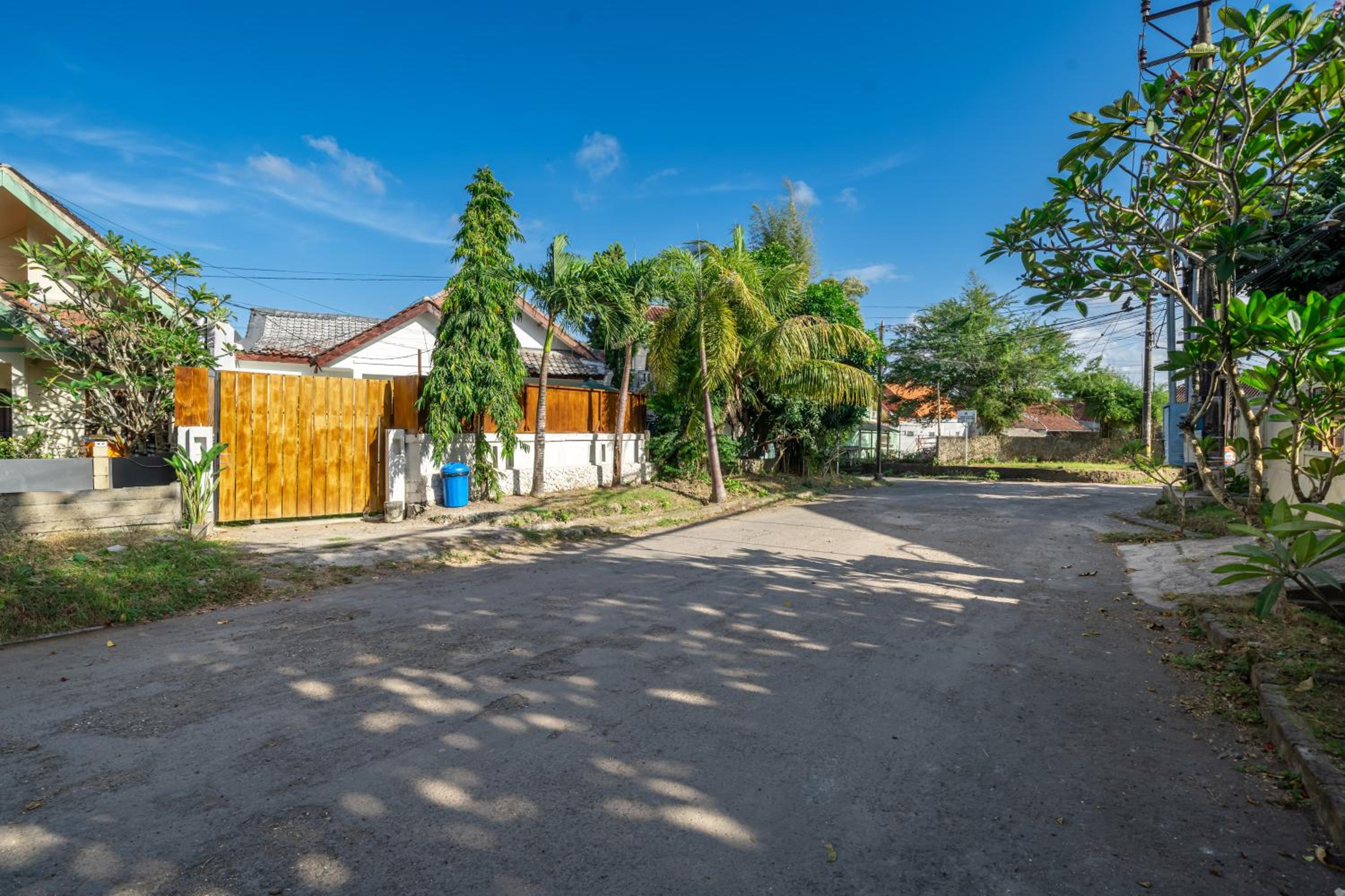 Matapalo Balangan