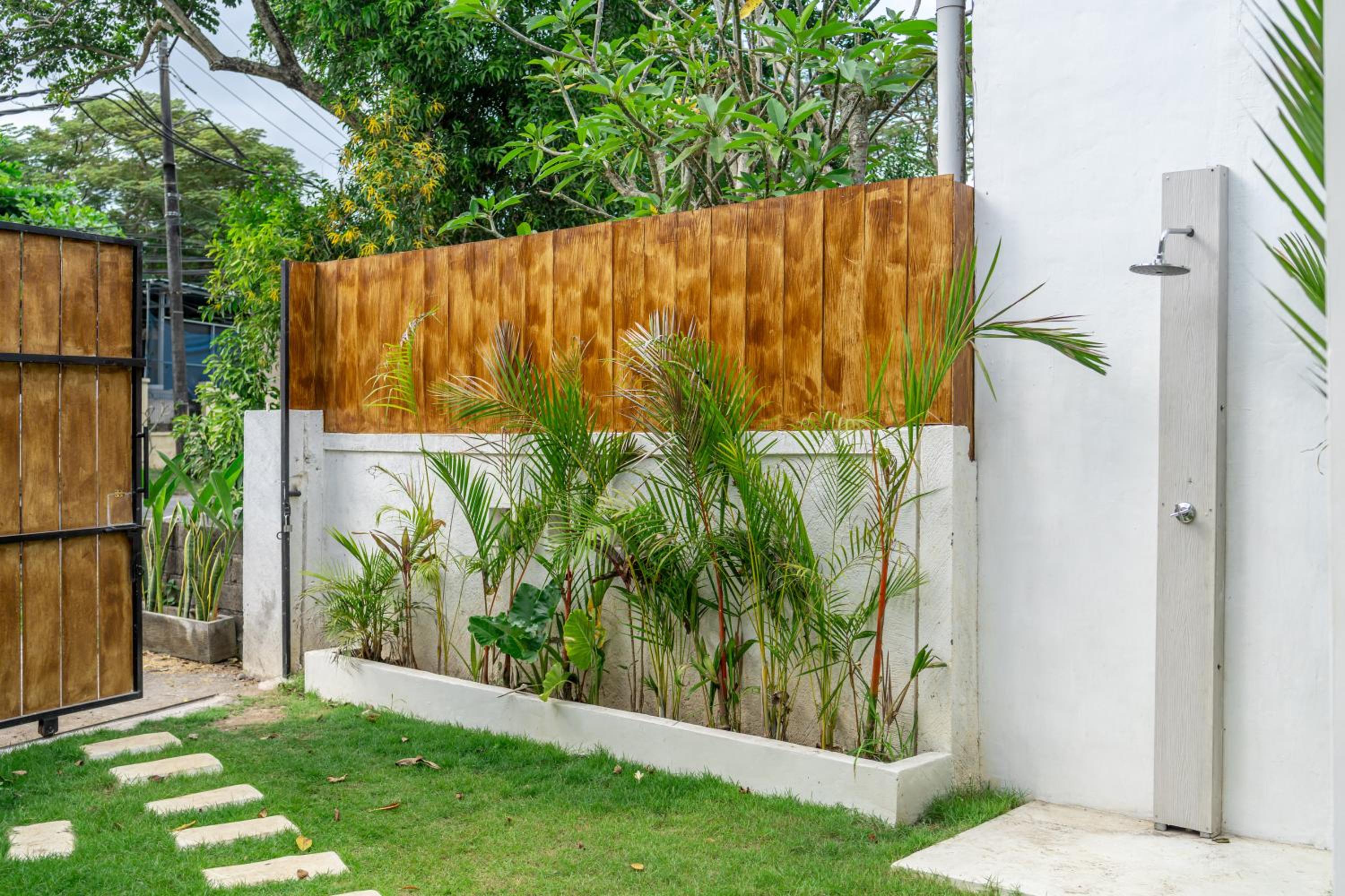 Matapalo Balangan