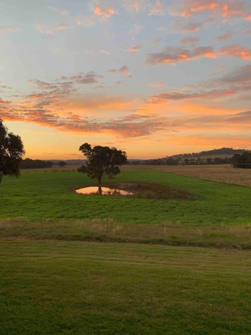 Yarras Homestead Bathurst luxury accommodation