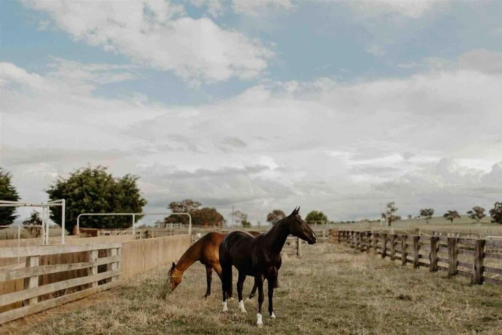 Yarras Homestead Bathurst luxury accommodation