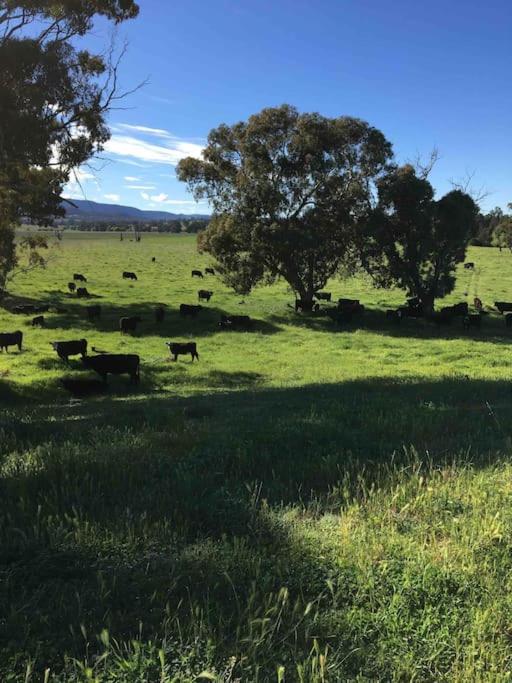 Yarras Homestead Bathurst luxury accommodation