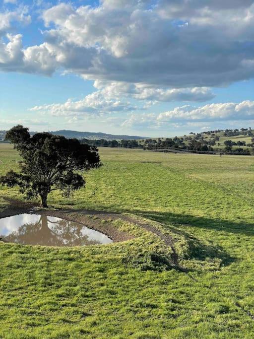 Yarras Homestead Bathurst luxury accommodation