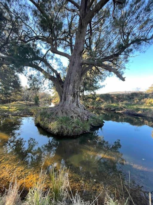 Yarras Homestead Bathurst luxury accommodation