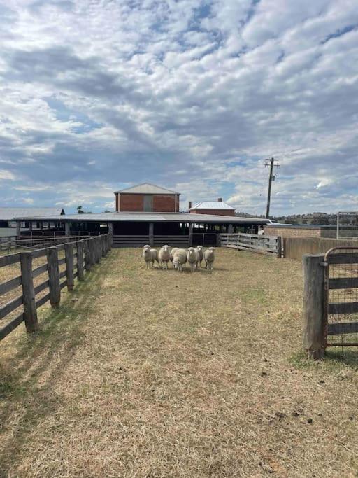 Yarras Homestead Bathurst luxury accommodation