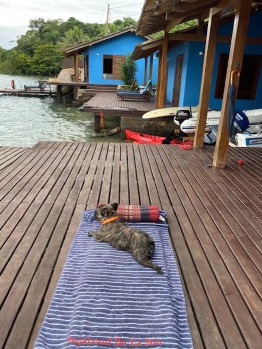 Casa a beira mar Saco do Mamangua Paraty Brasil