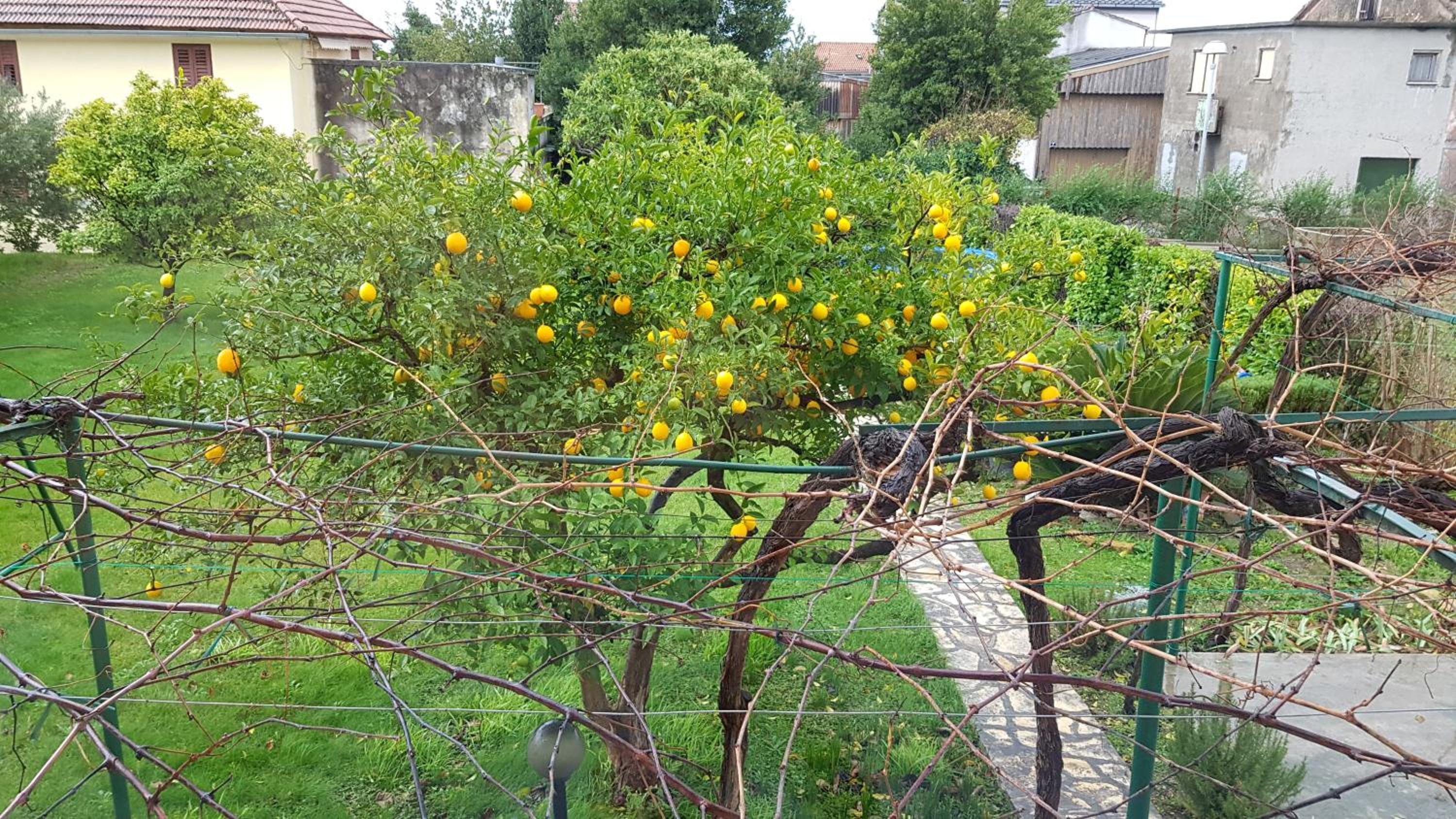 Photo 23