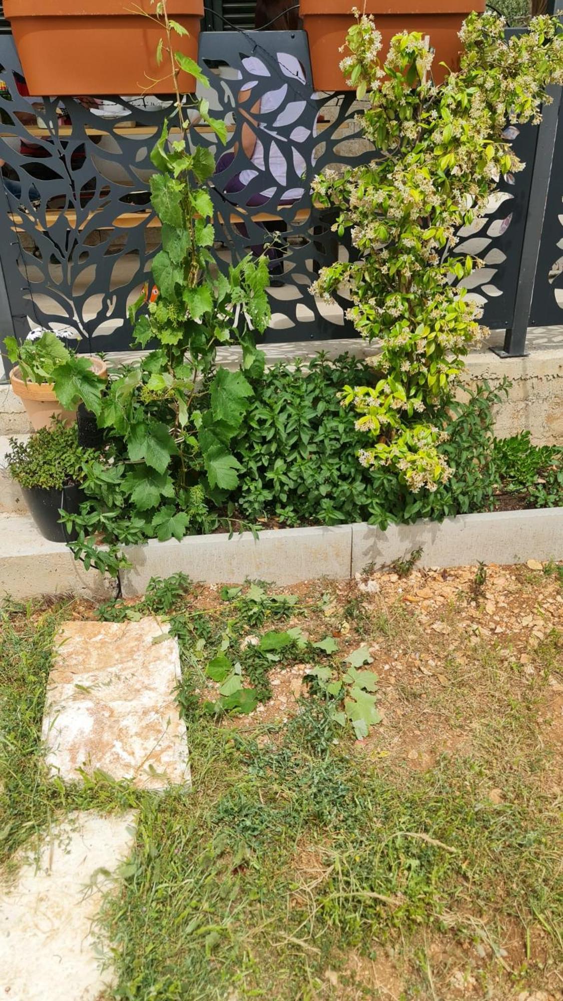 Green house view 5