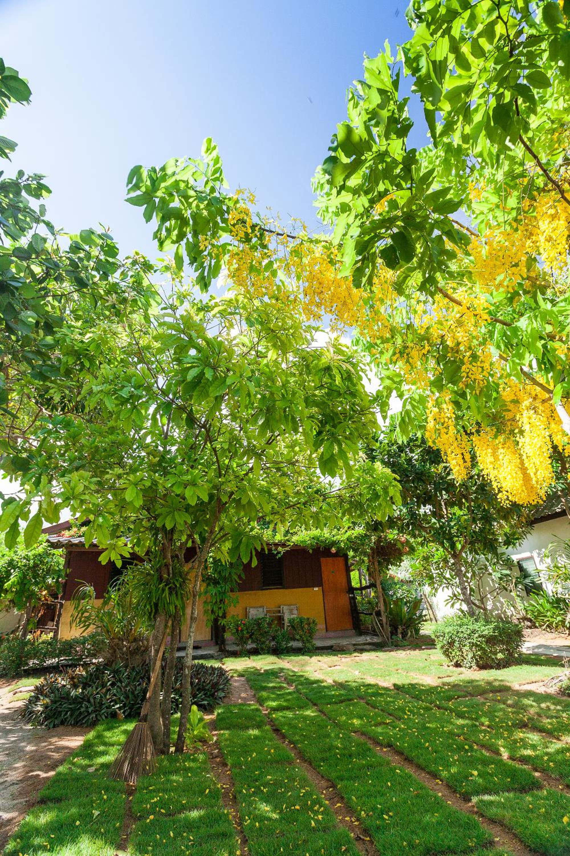 The Cosy Koh Phangan and Restaurant