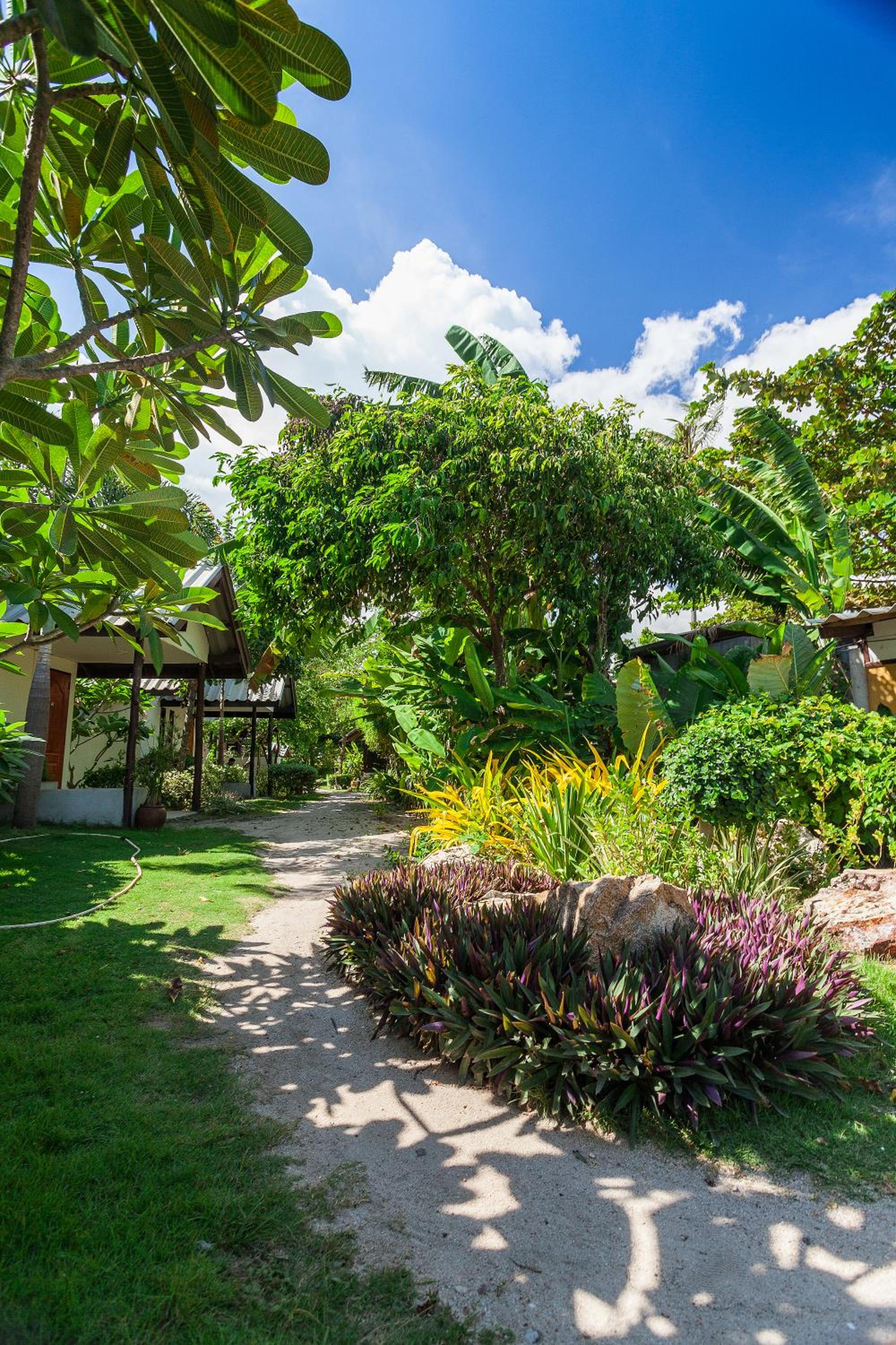 The Cosy Koh Phangan and Restaurant