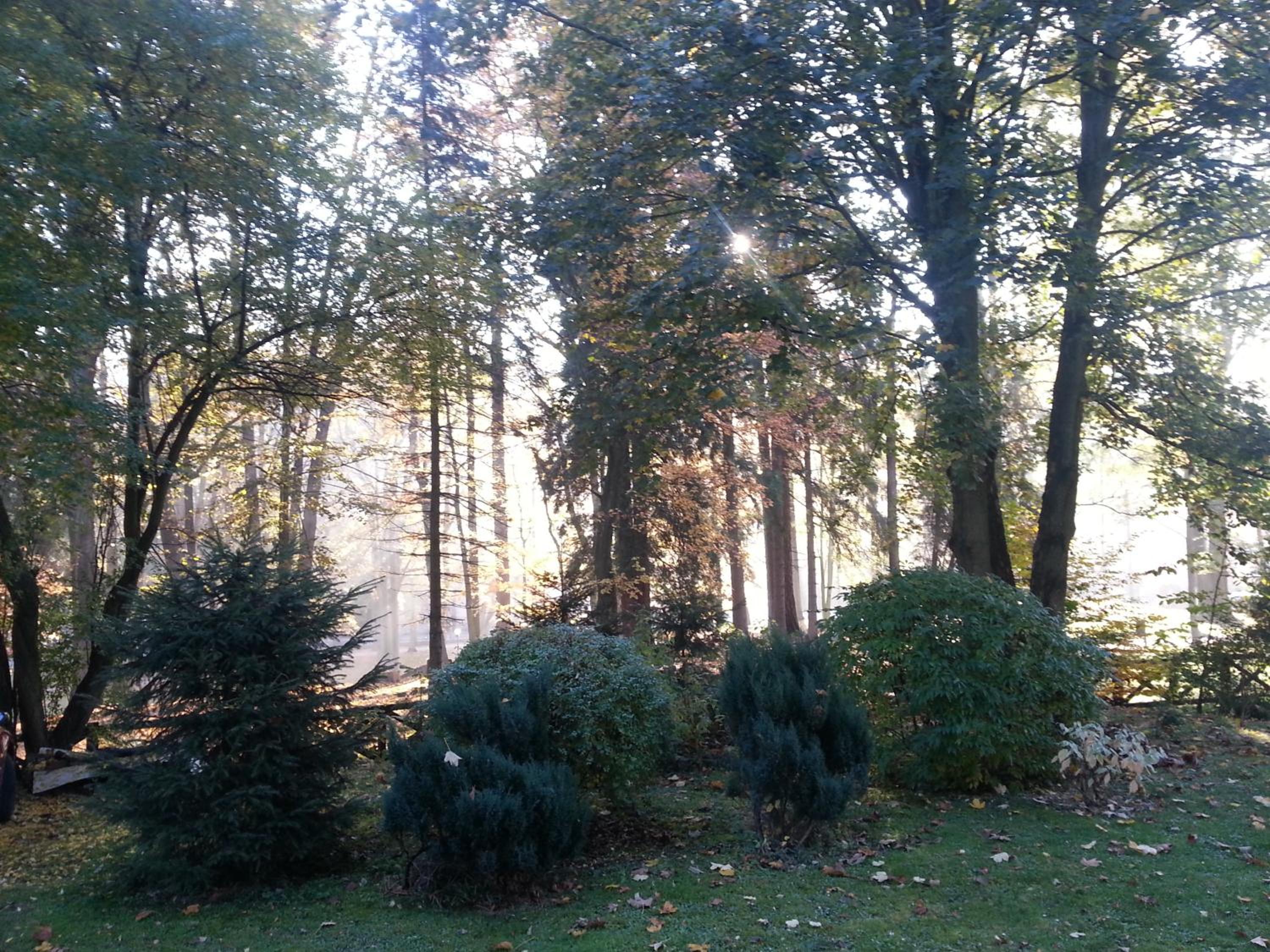 Photo 48