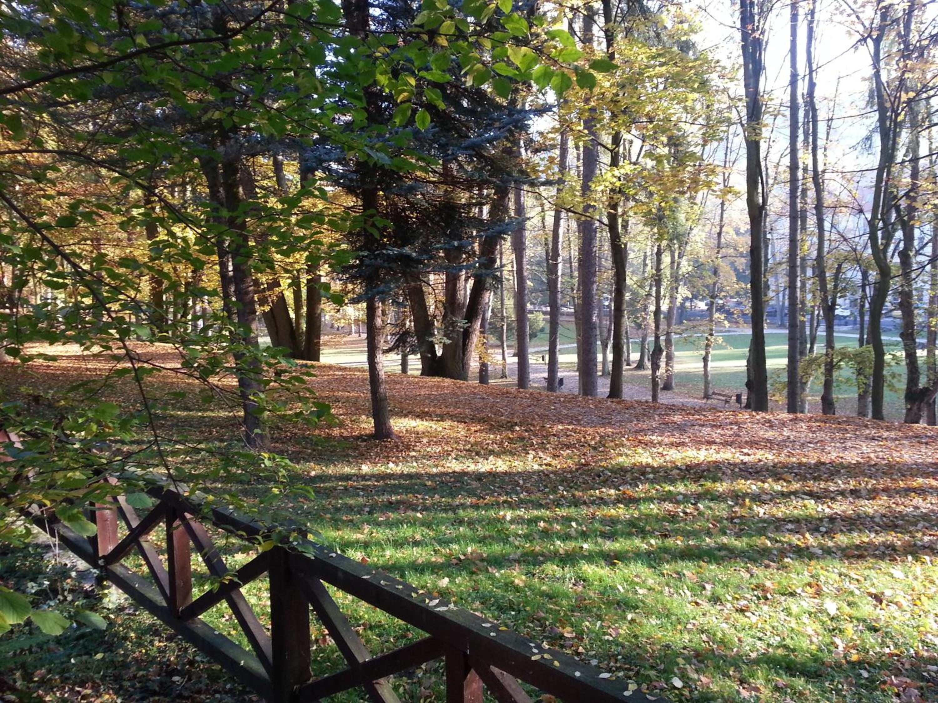 Photo 47