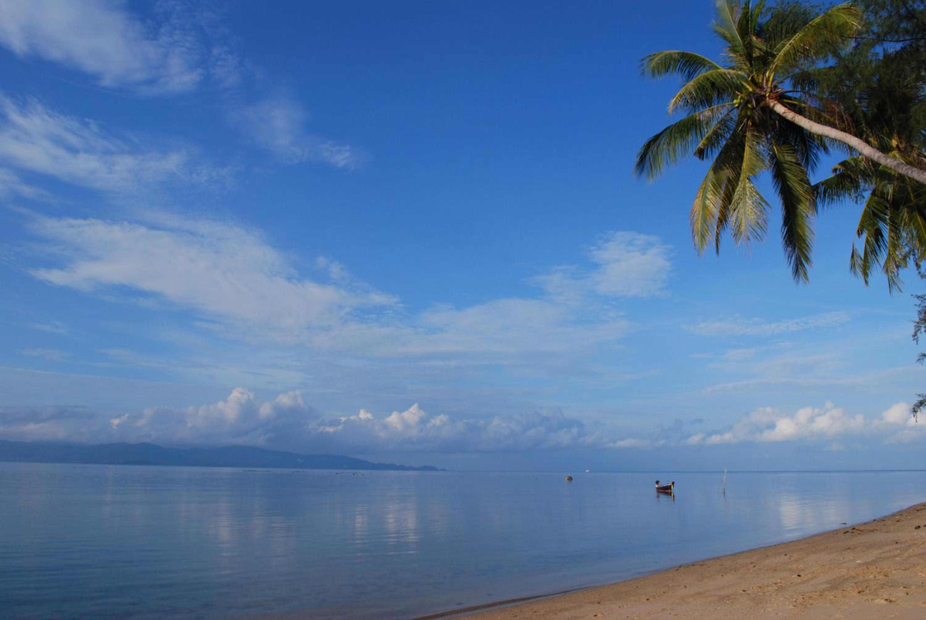 The Cosy Koh Phangan and Restaurant