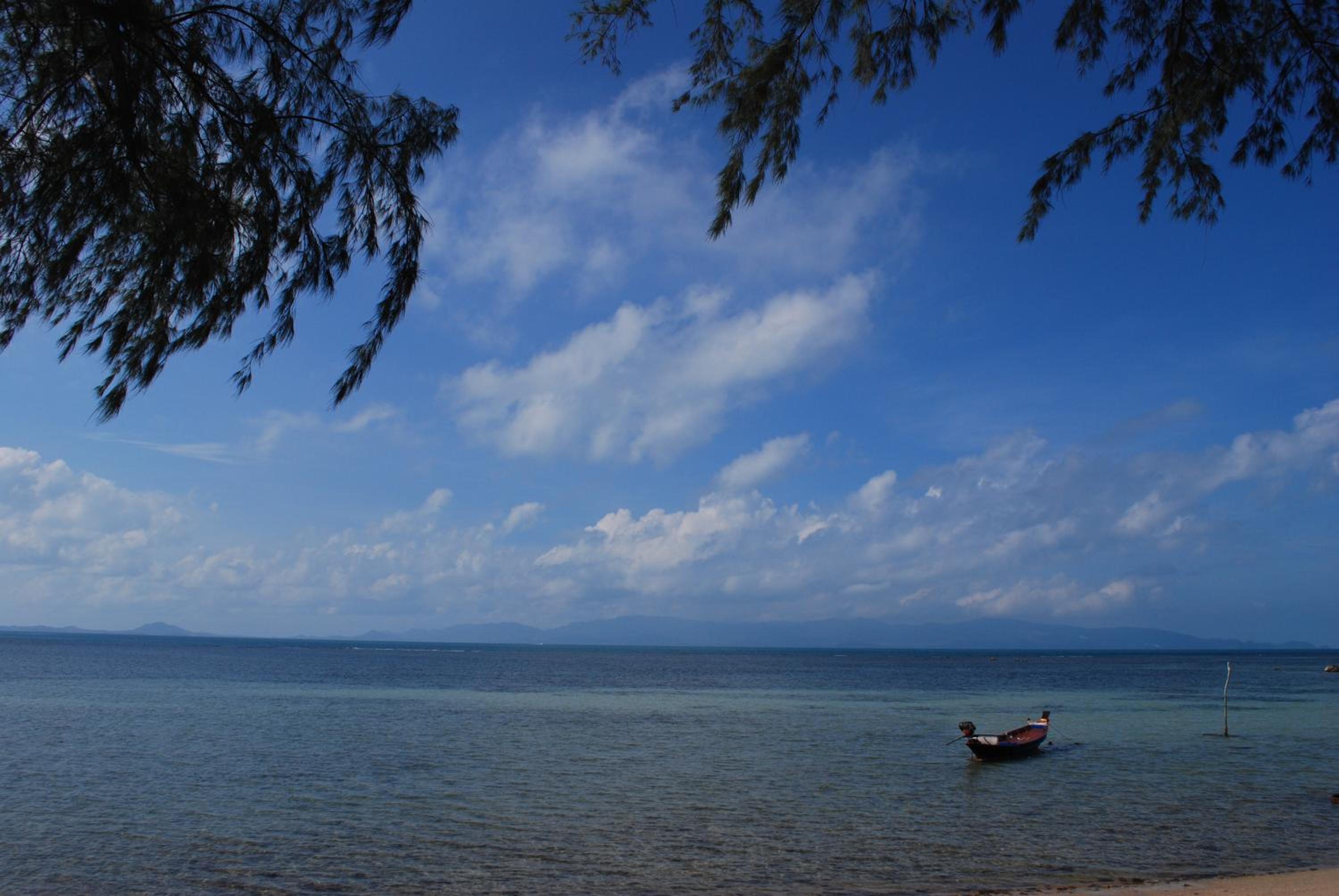 The Cosy Koh Phangan and Restaurant