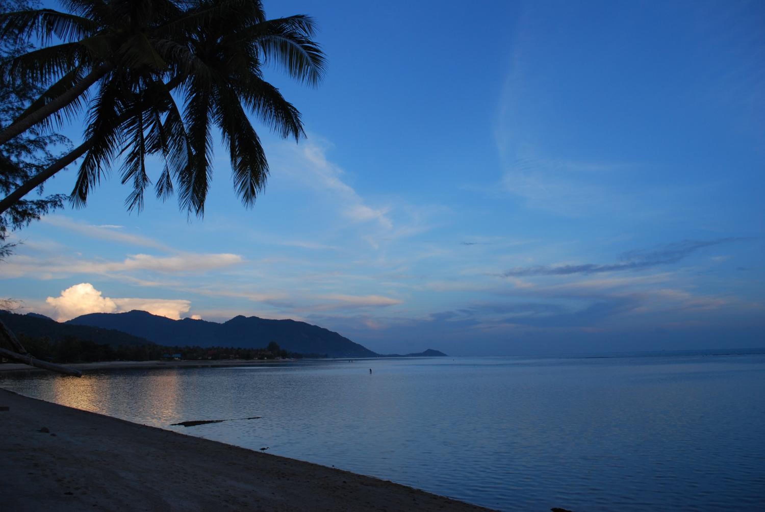 The Cosy Koh Phangan and Restaurant
