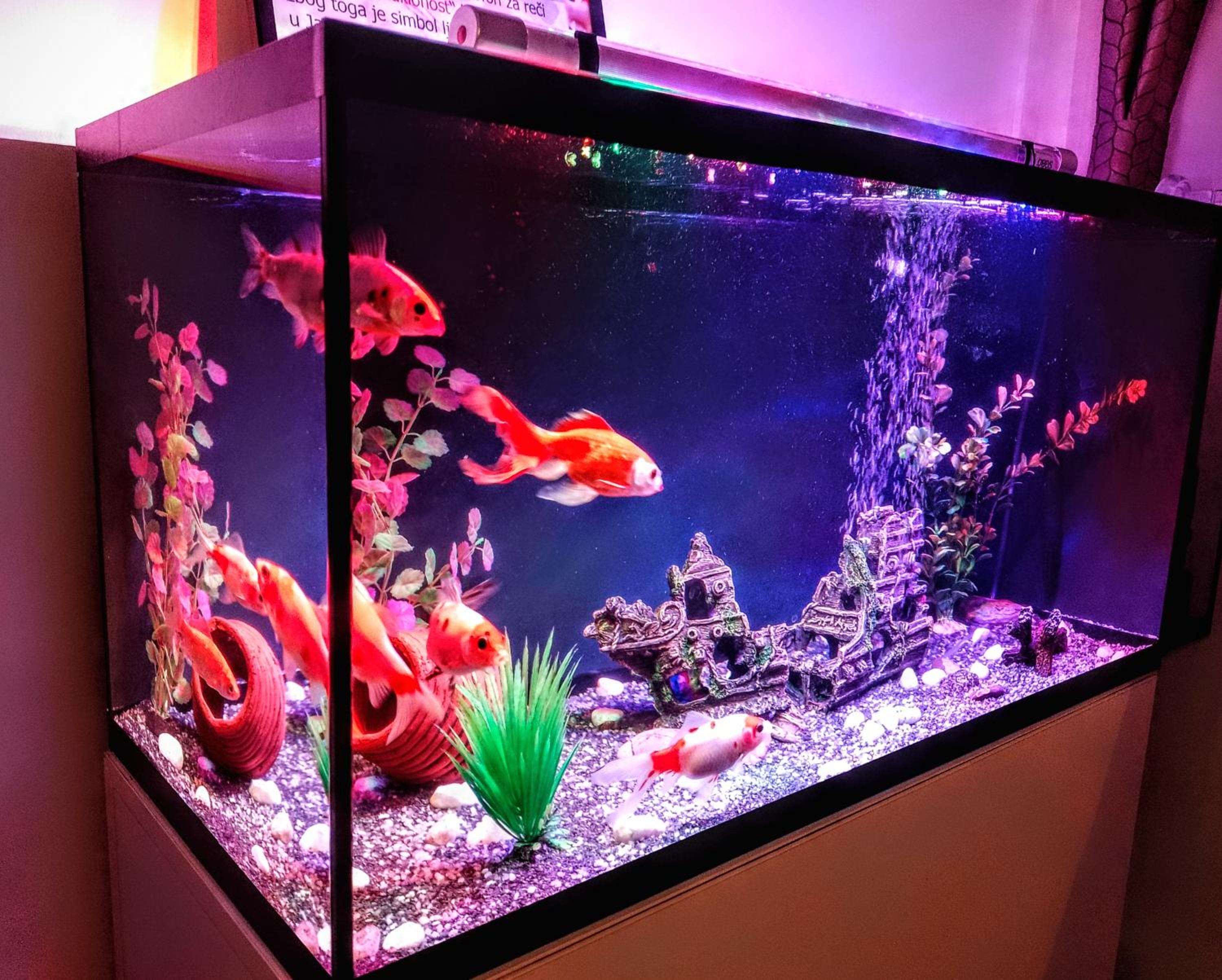 TOP Apartman view 5