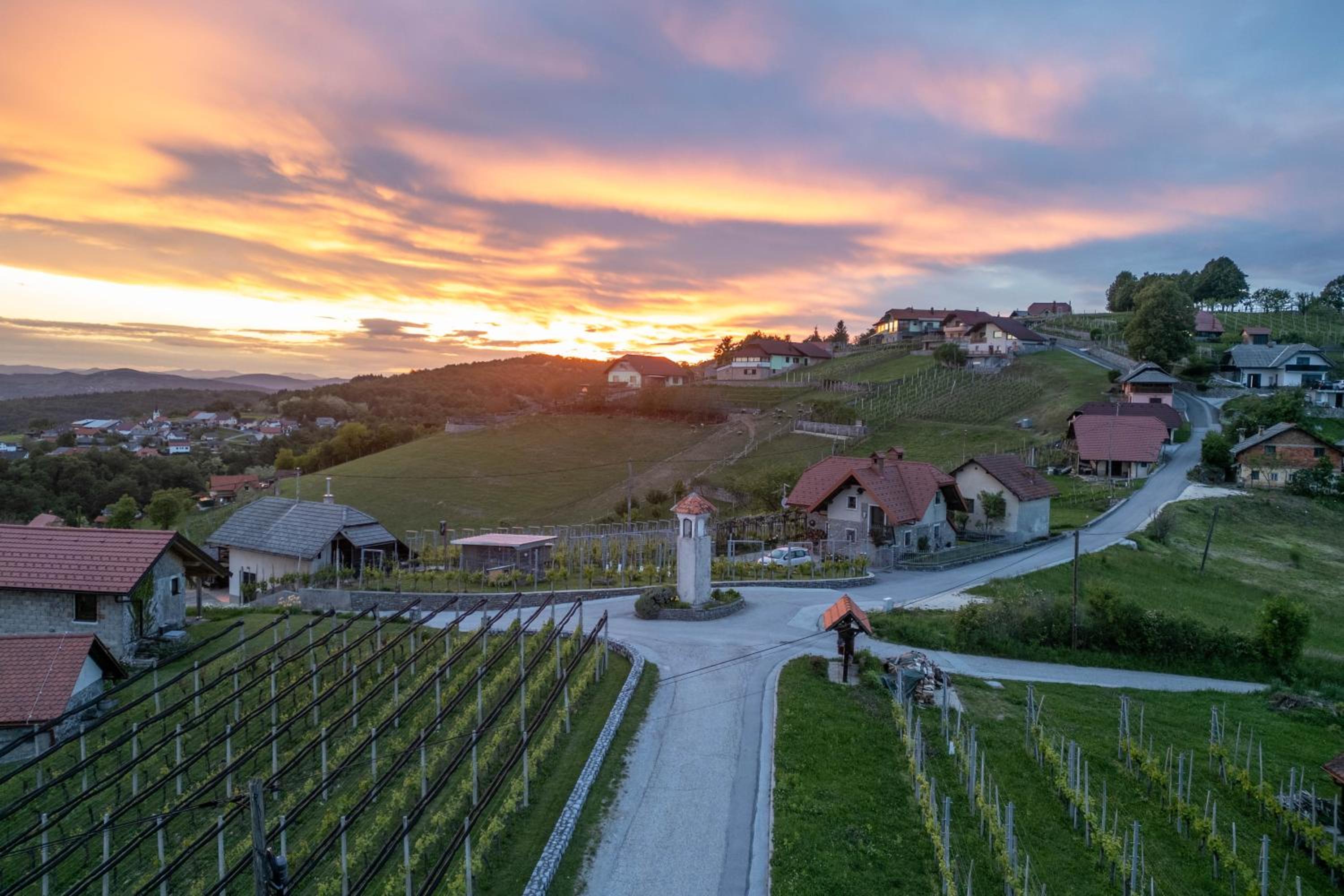 Vineyard cottage Kump